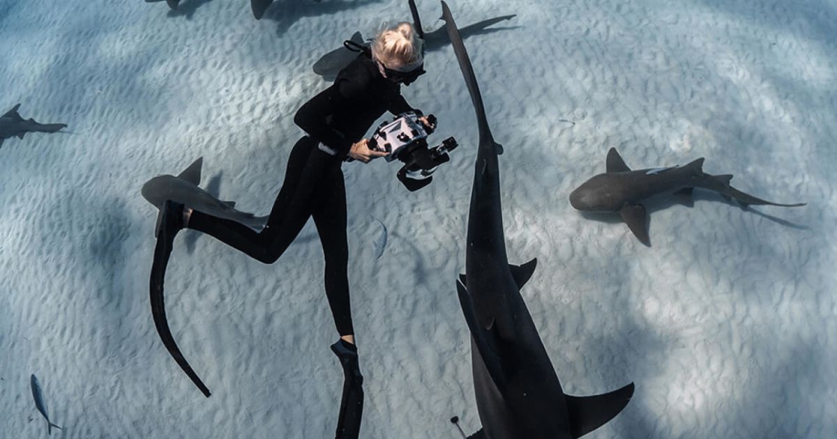 Guardians of the Reef: Combining Curiosity and Conservation