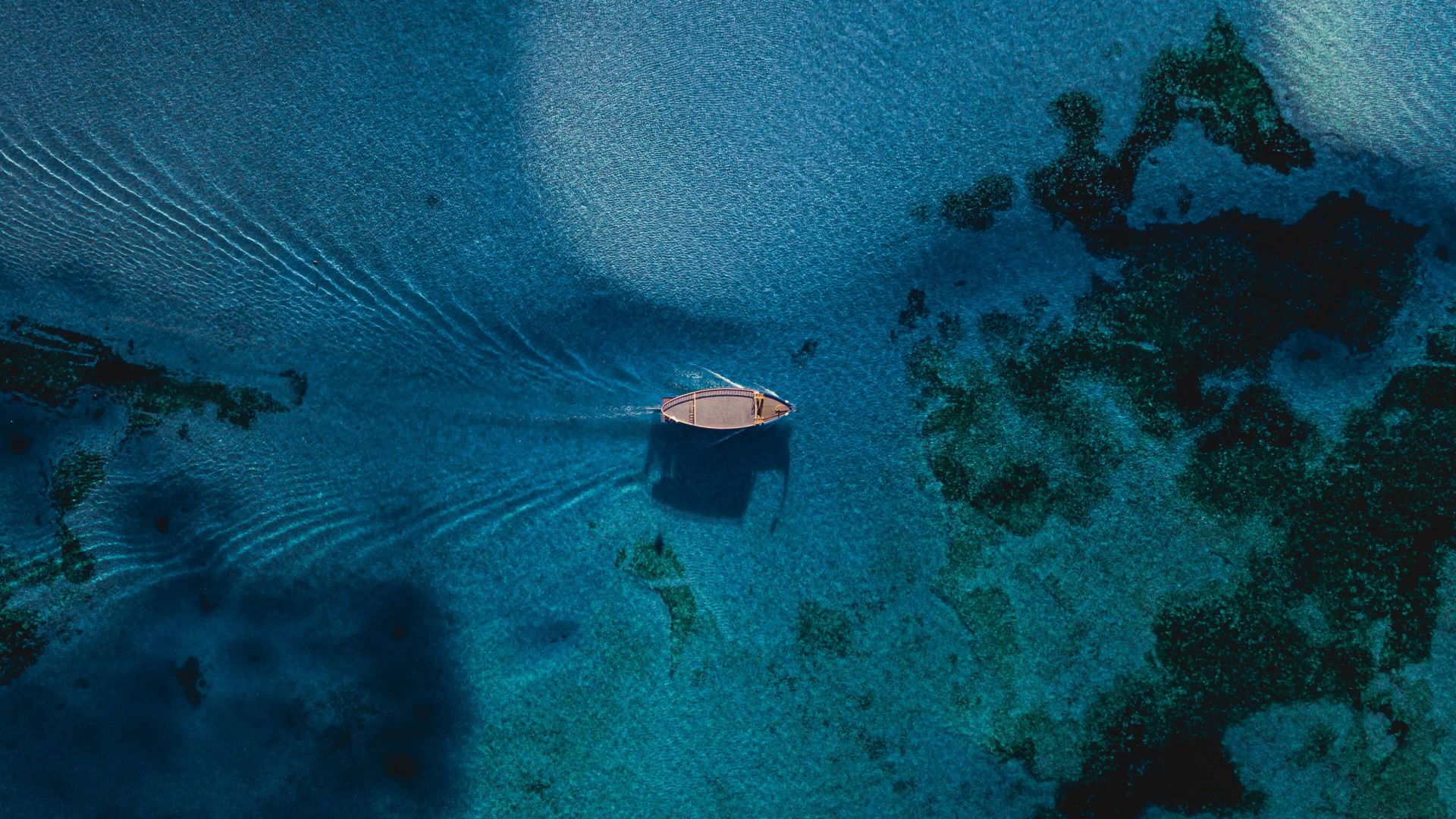 A Boat In The Water
