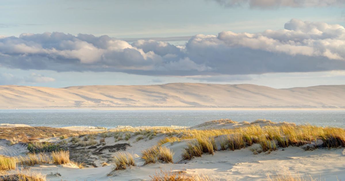 Exploring Coastal Bordeaux Beyond Wine Country