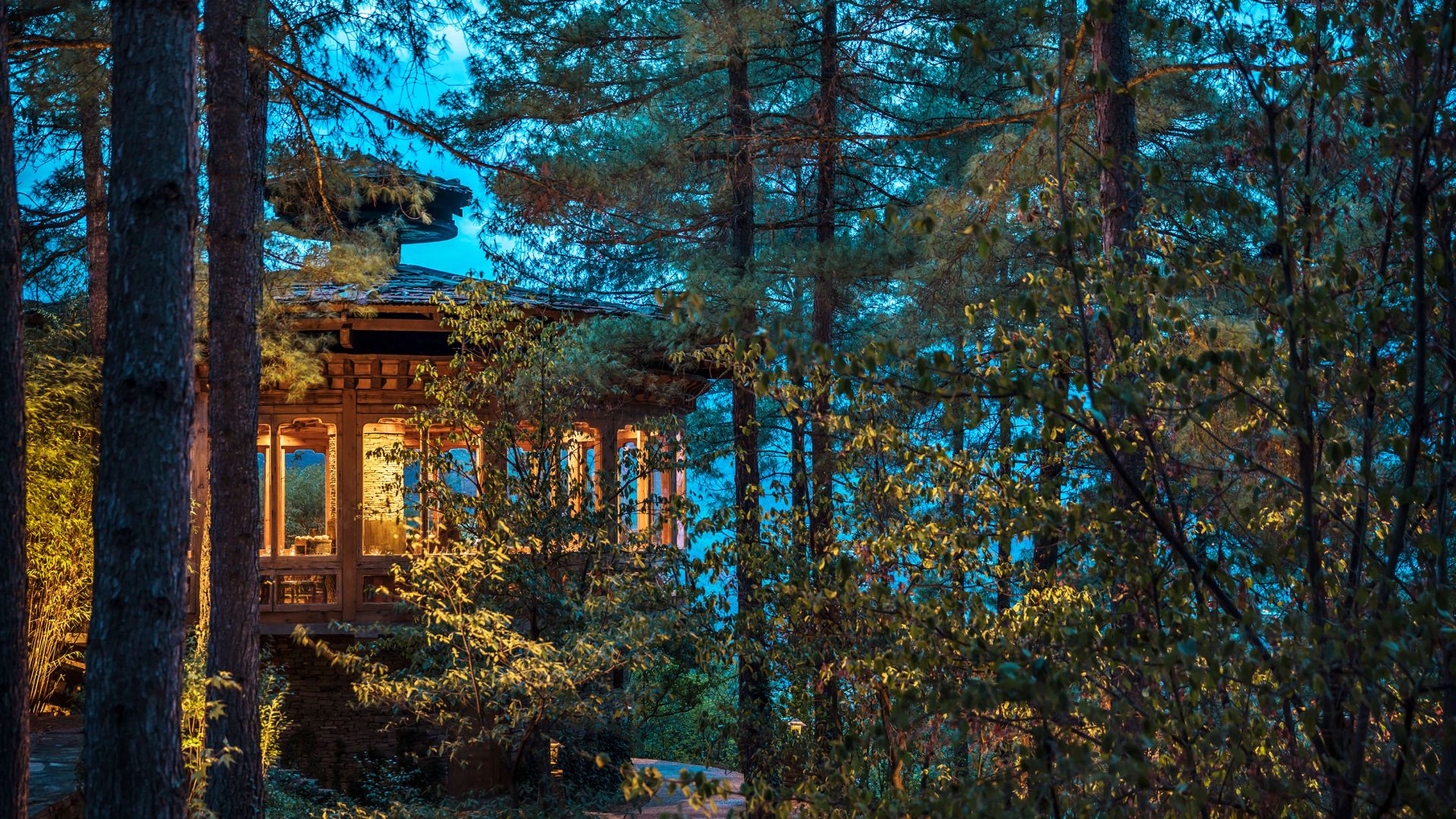 A House In The Woods