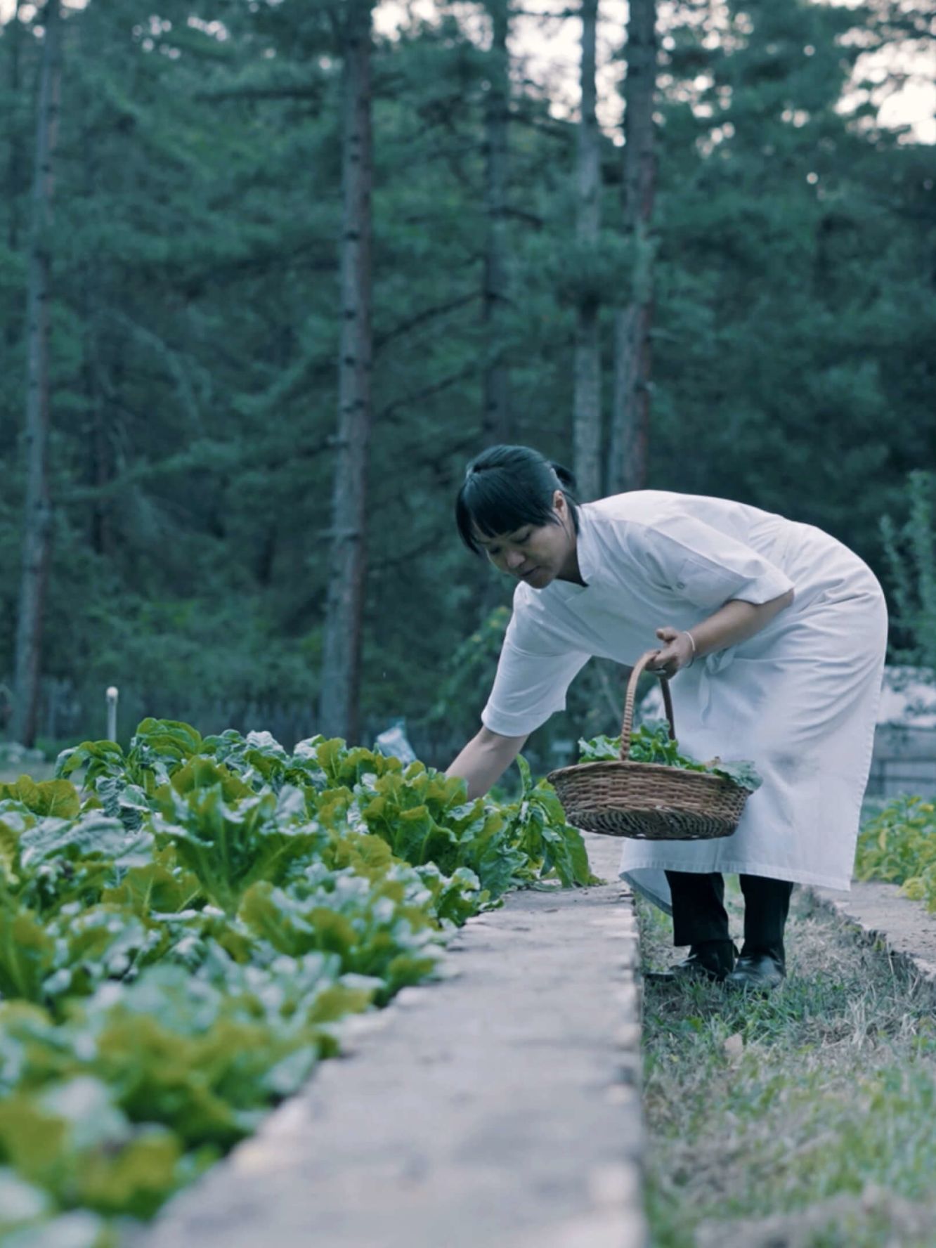 A Man Holding A Basket