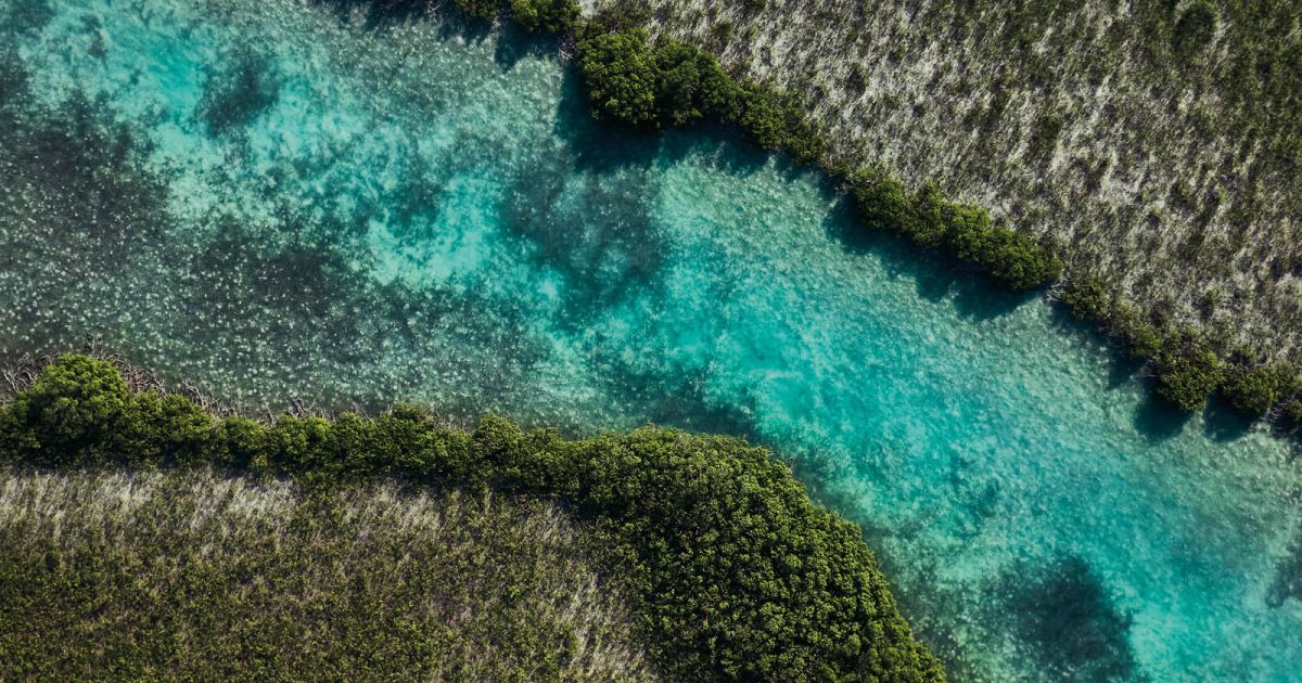 Discovering COMO Parrot Cay: An Expert’s Eye on the Caribbean