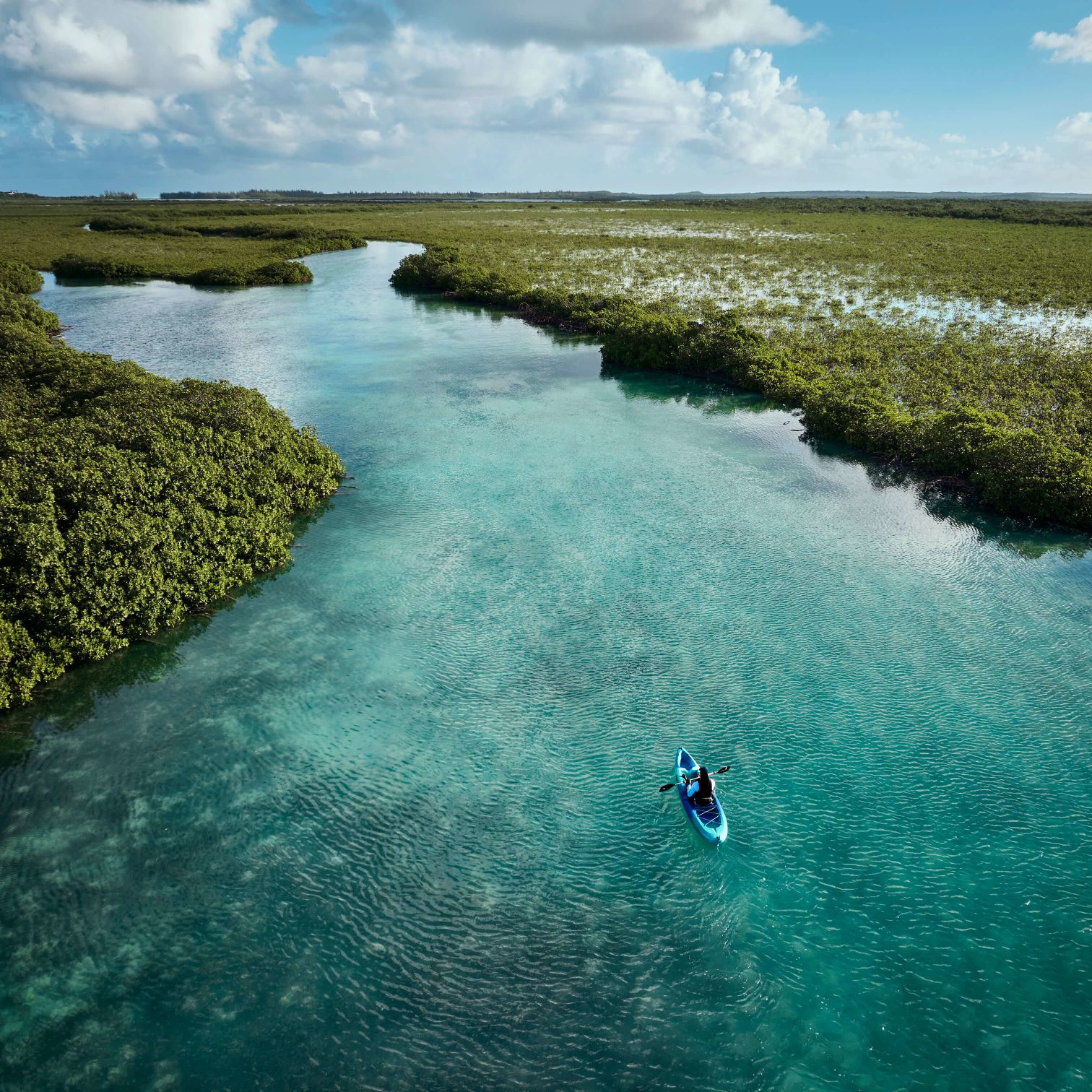 A Person In A Body Of Water