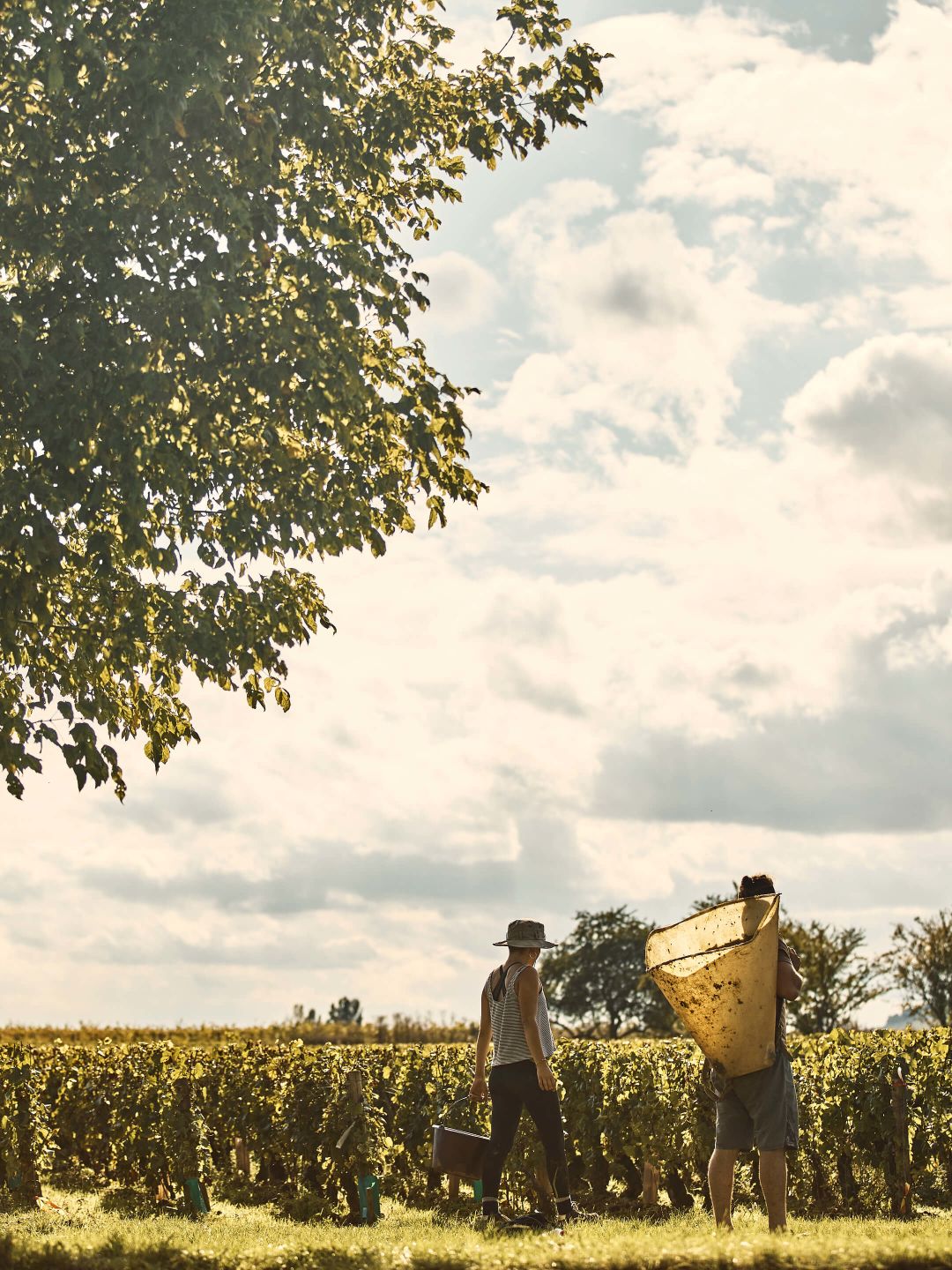 A Person Standing In A Field
