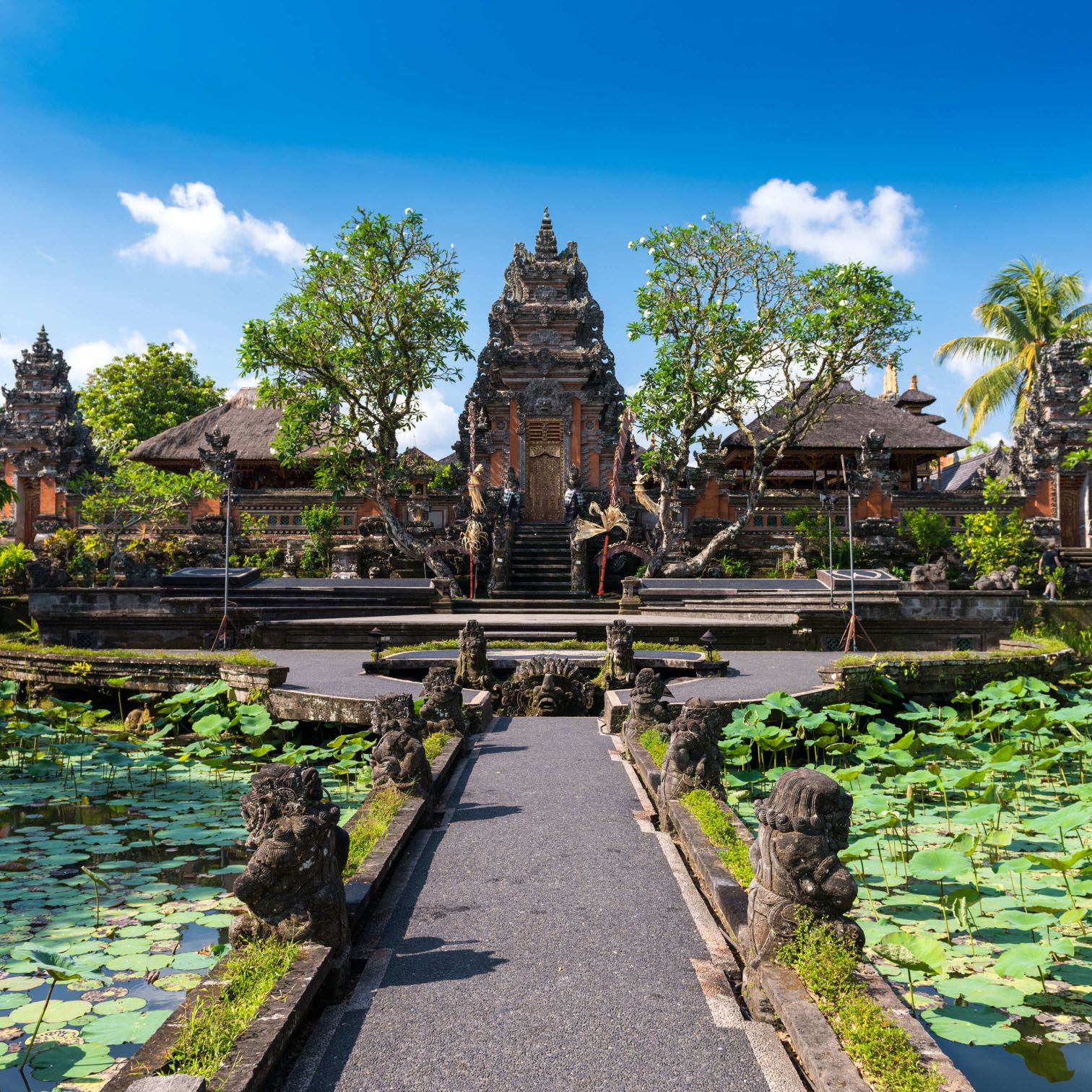 A Garden With A Path And Buildings
