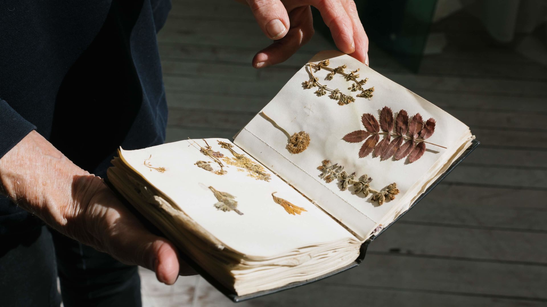 A Person Holding A Box With A Design On It