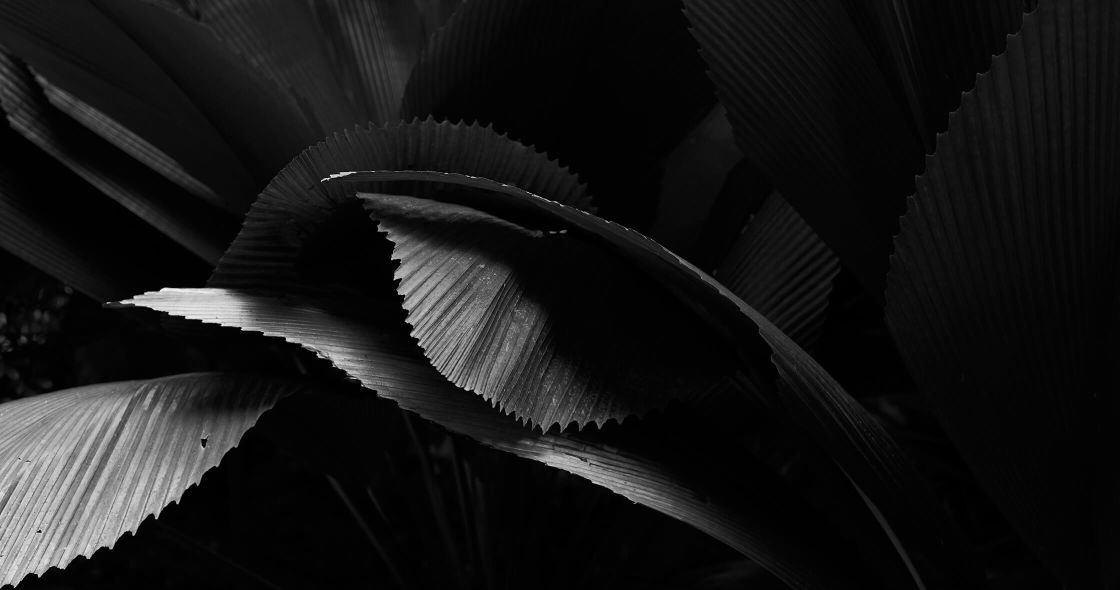 Background Pattern