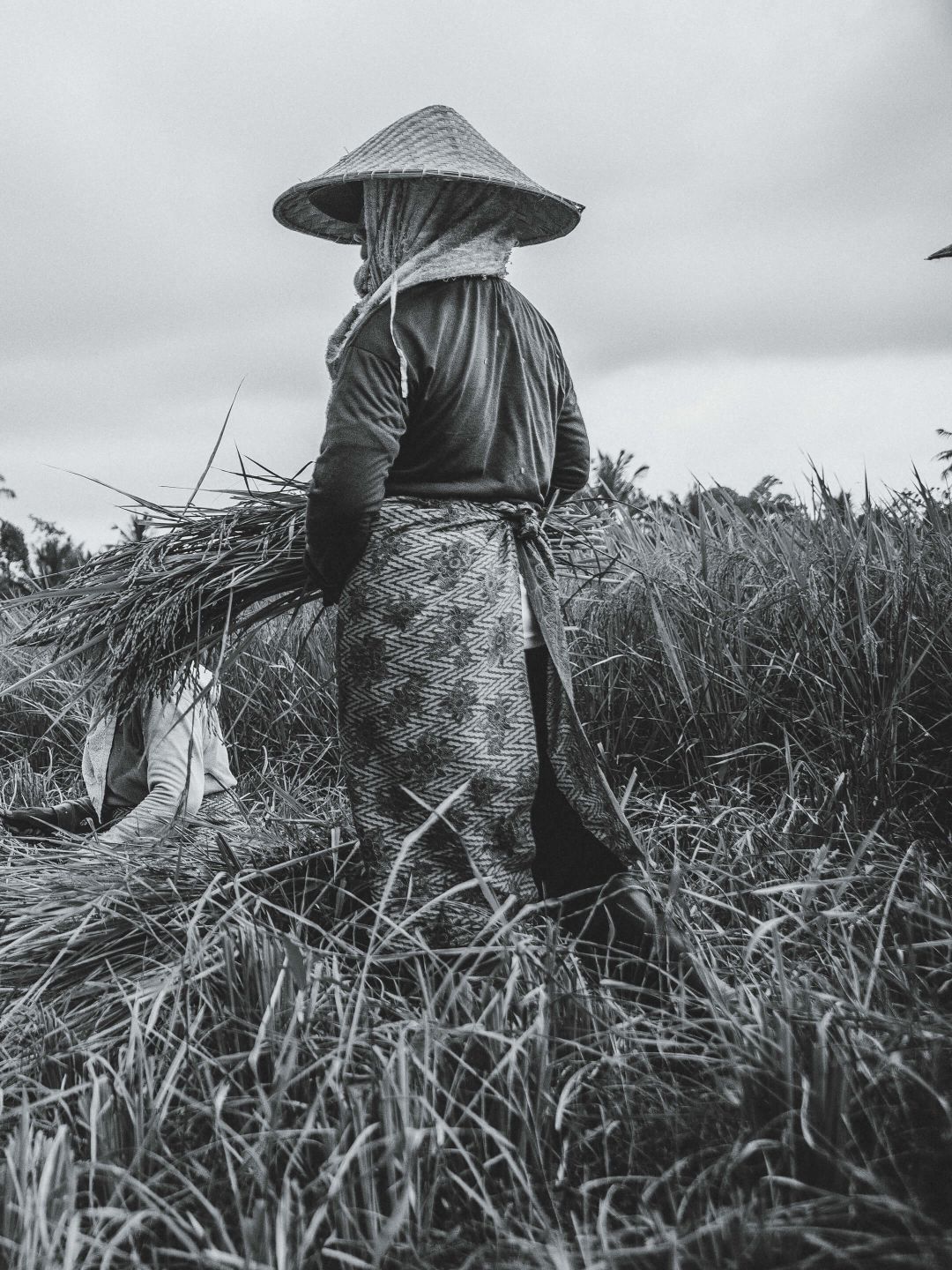 A Man In A Field