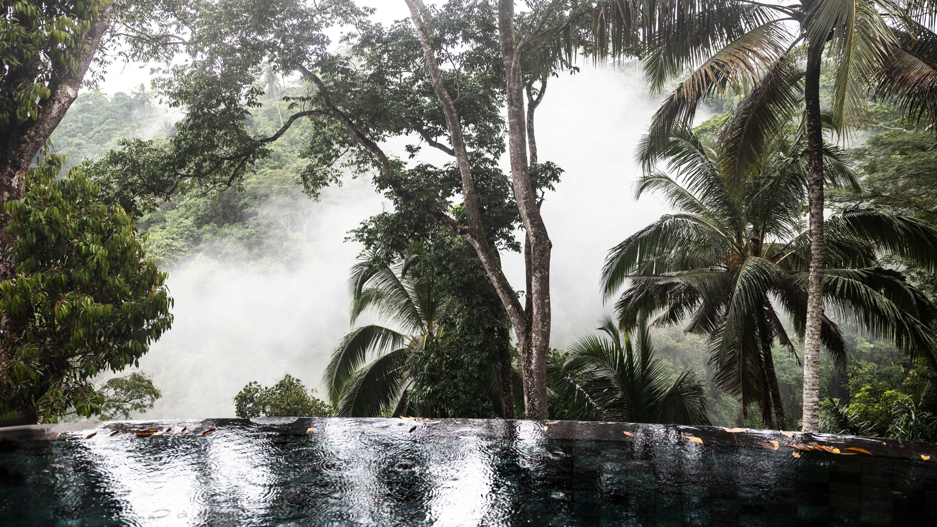 A Body Of Water With Trees Around It