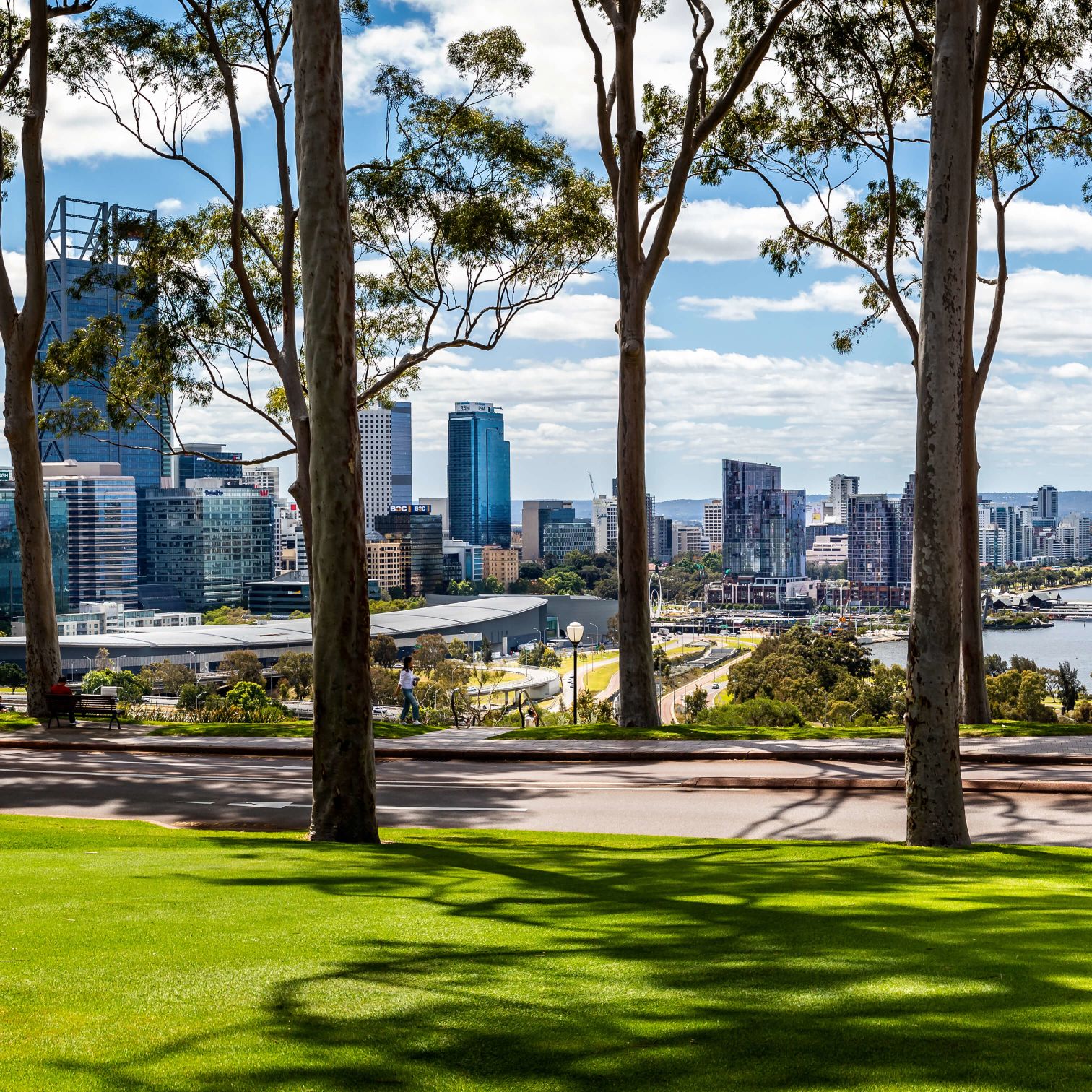 A Park With Trees And A City In The Background