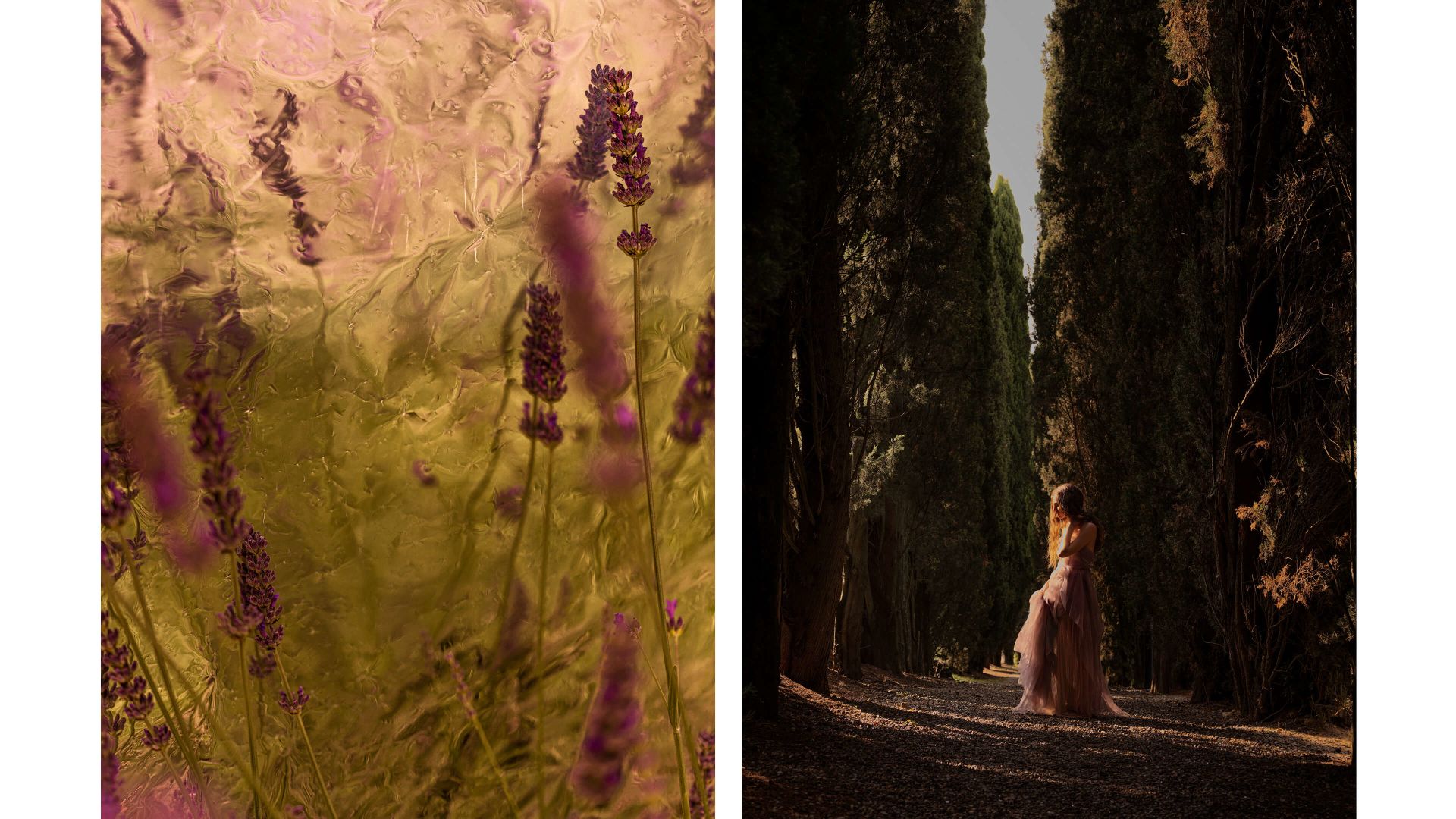 A Person In A Dress In A Forest