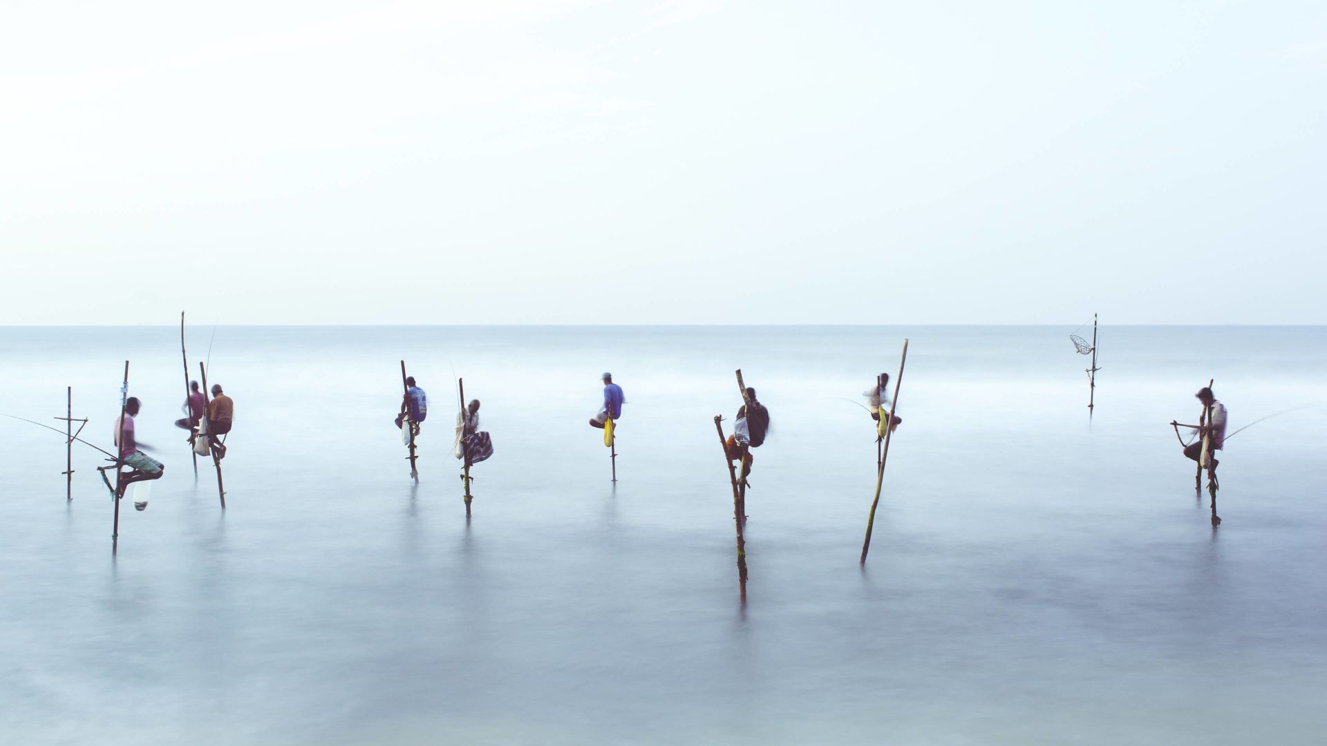 A Group Of People On Sticks In The Water