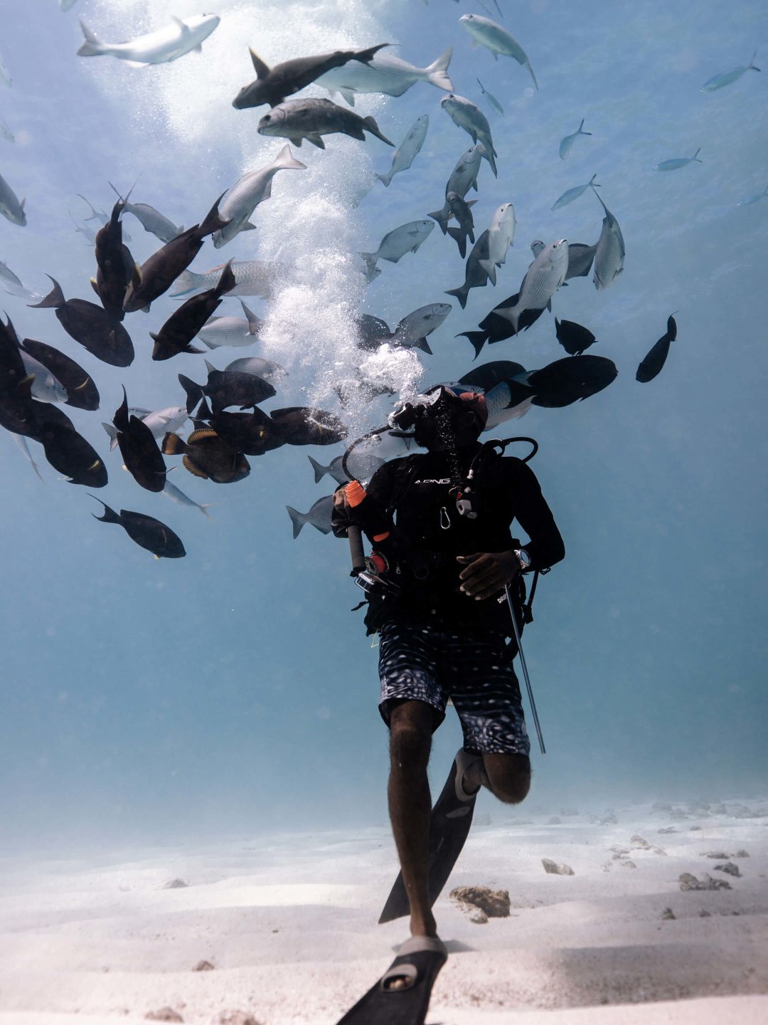 A Person With A Gun And A Bunch Of Fish Flying In The Air
