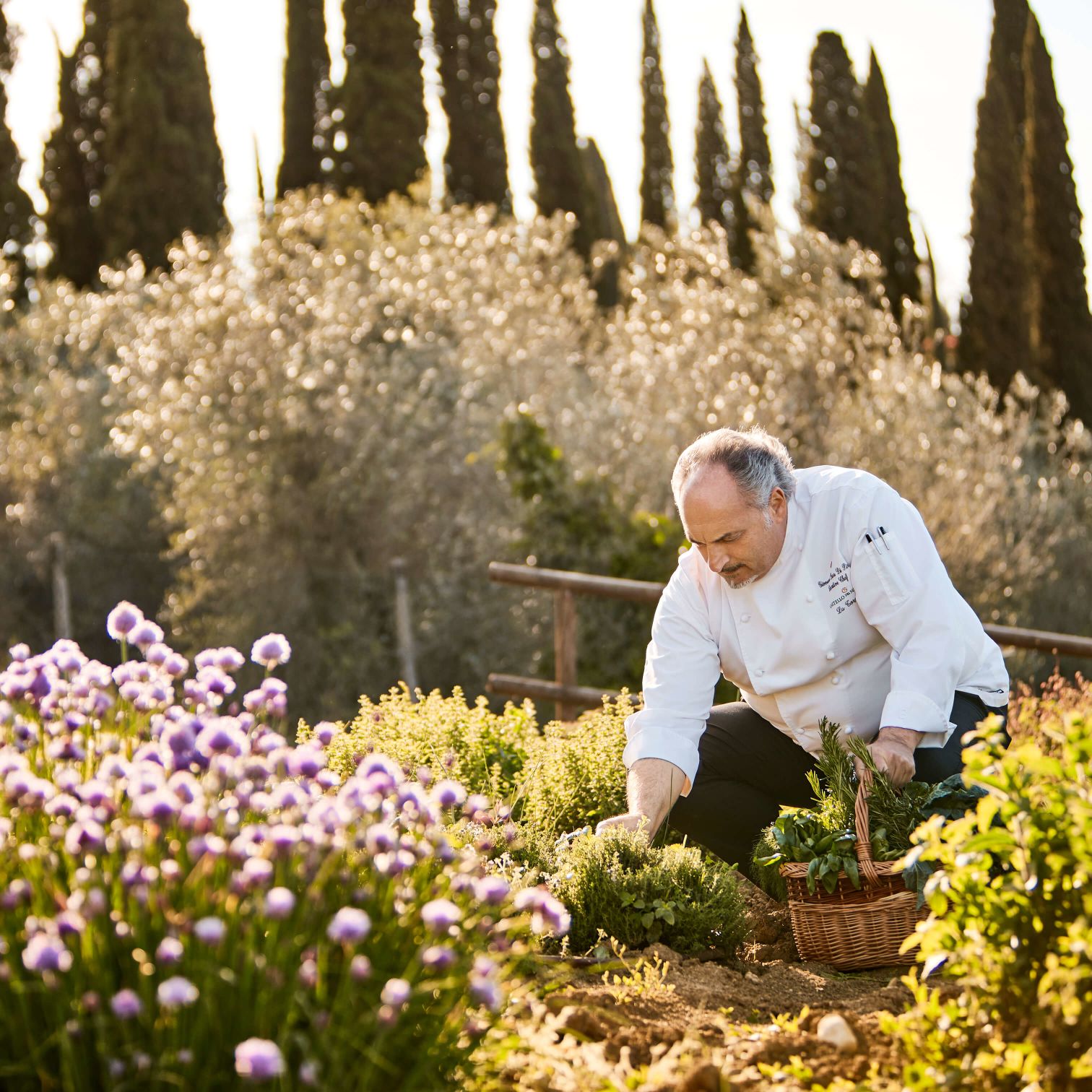 A Man Kneeling In A Garden