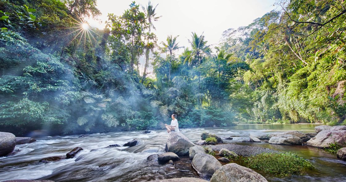A Person Sitting On A Rock In A River With Trees And Plants
