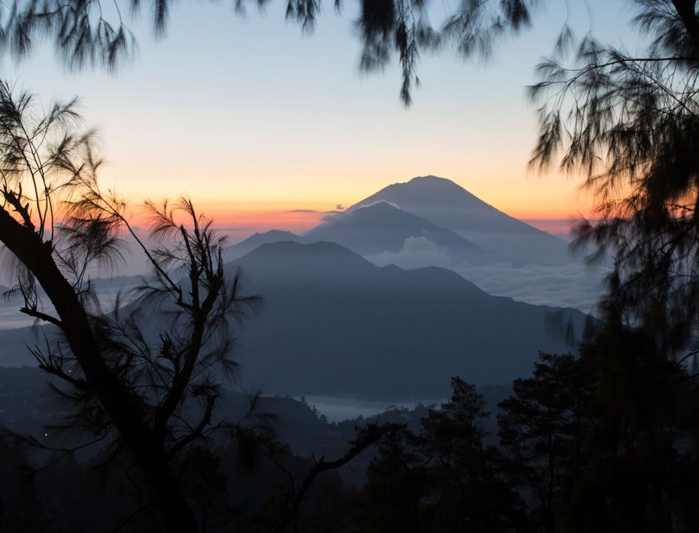 A View Of A Mountain Range From A Forest