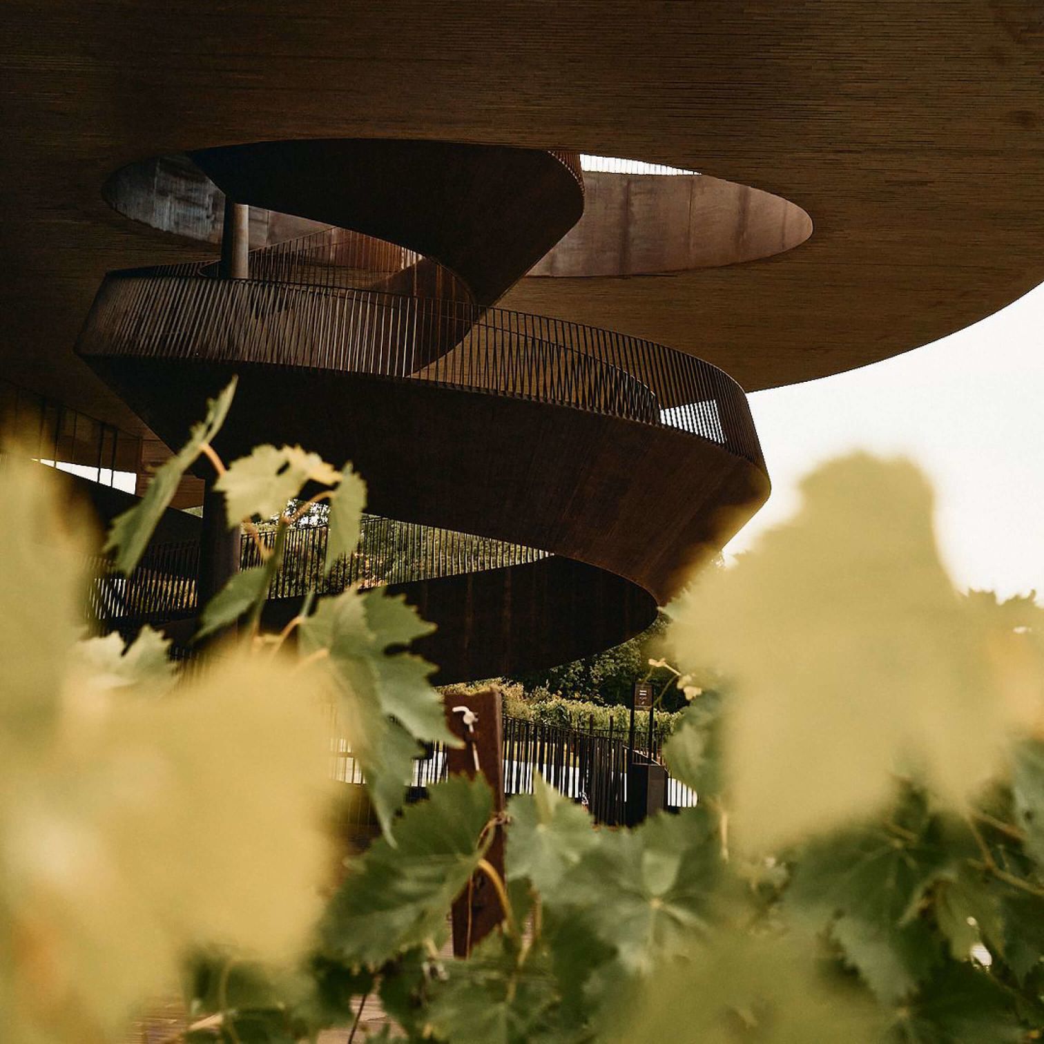 A Group Of Plants And A Building