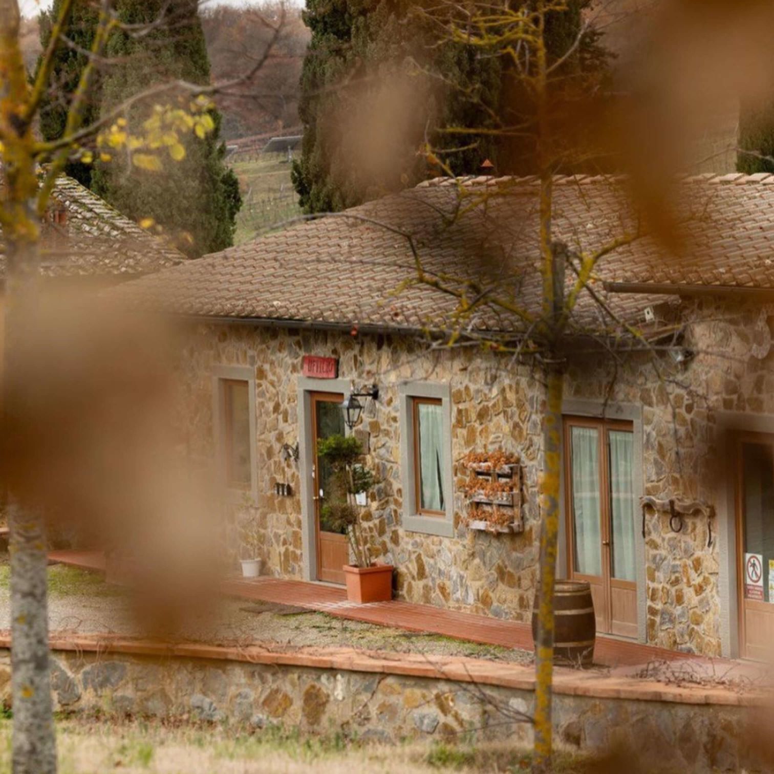 A House With A Tree In The Front
