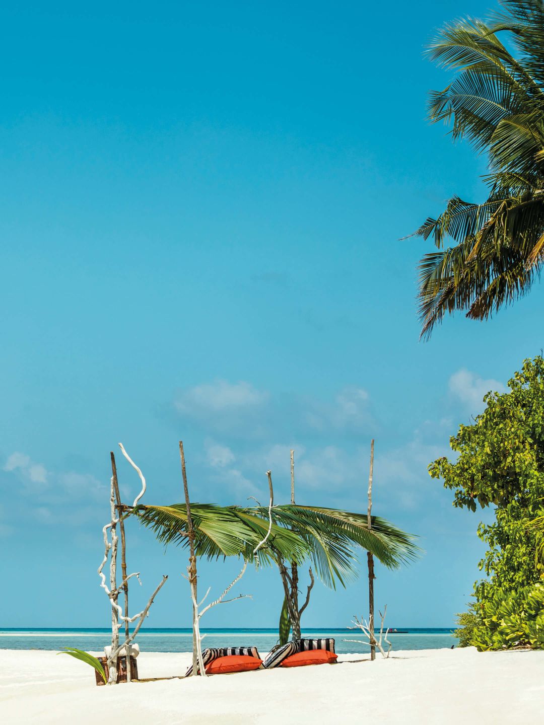 A Beach With Palm Trees And A Hammock