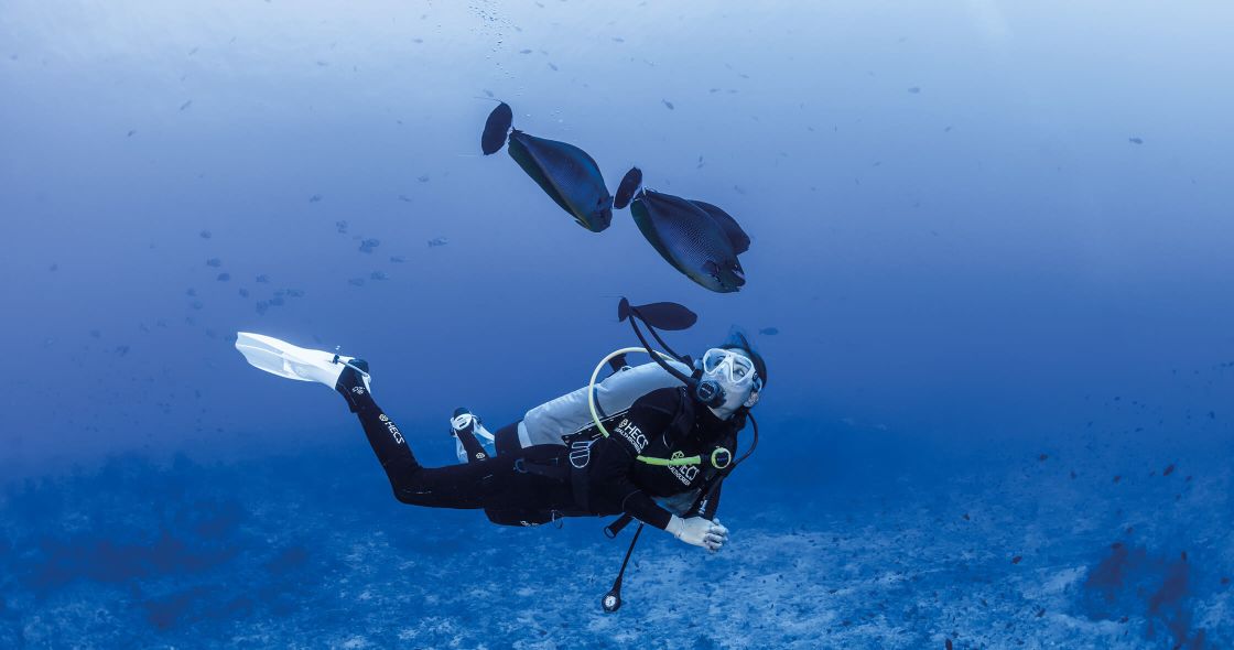 A Scuba Diver And A Shark