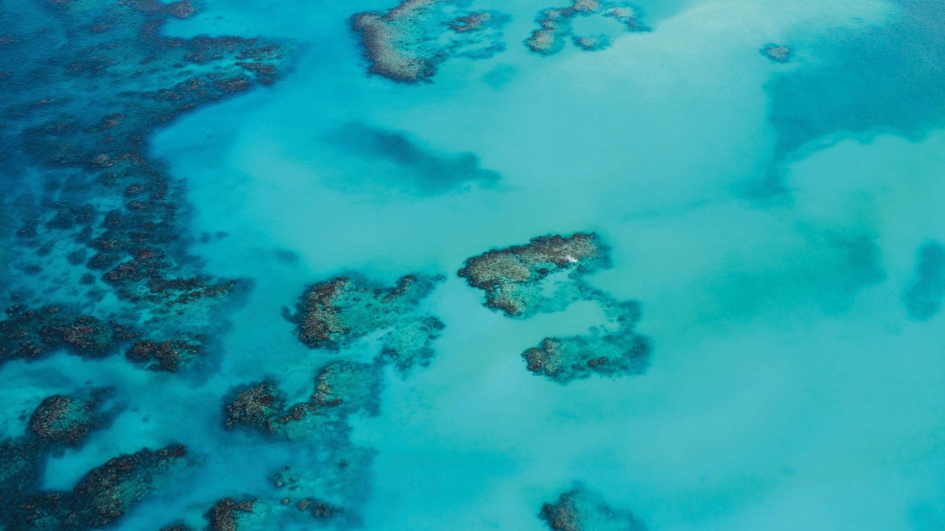 A Group Of Rocks In The Water