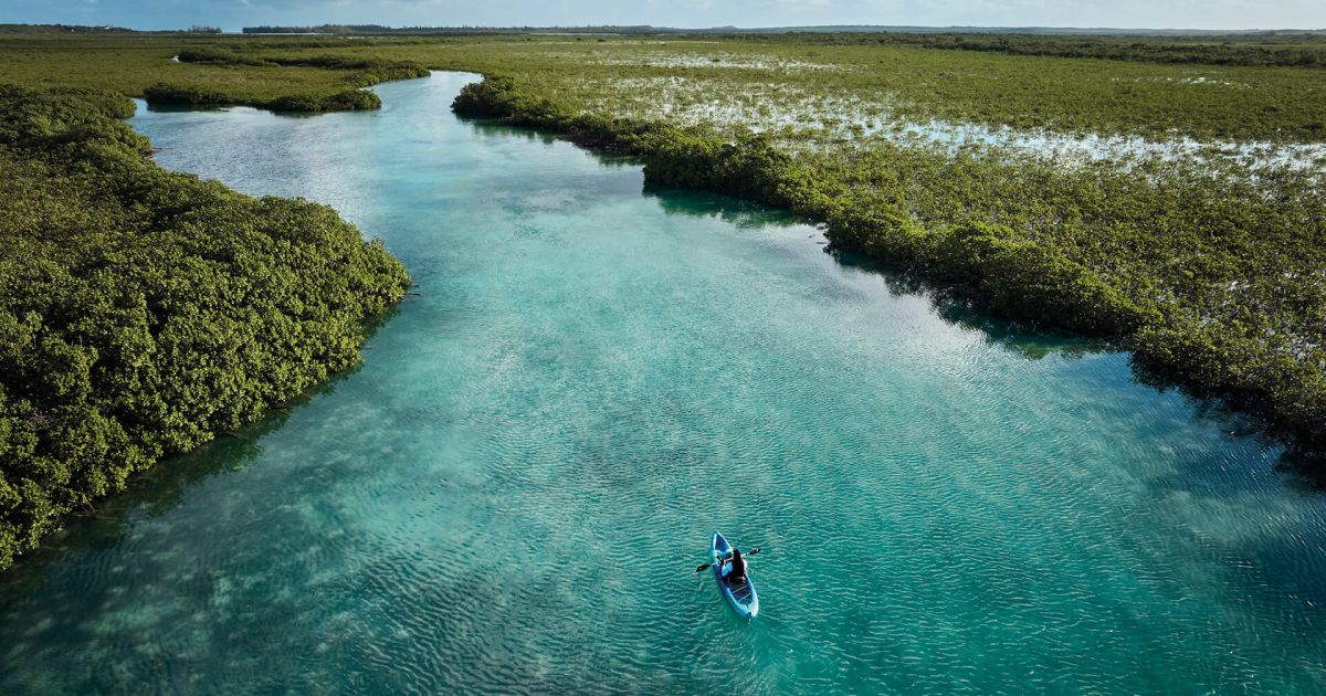 Exploring Mangroves by Kayak in COMO Parrot Cay