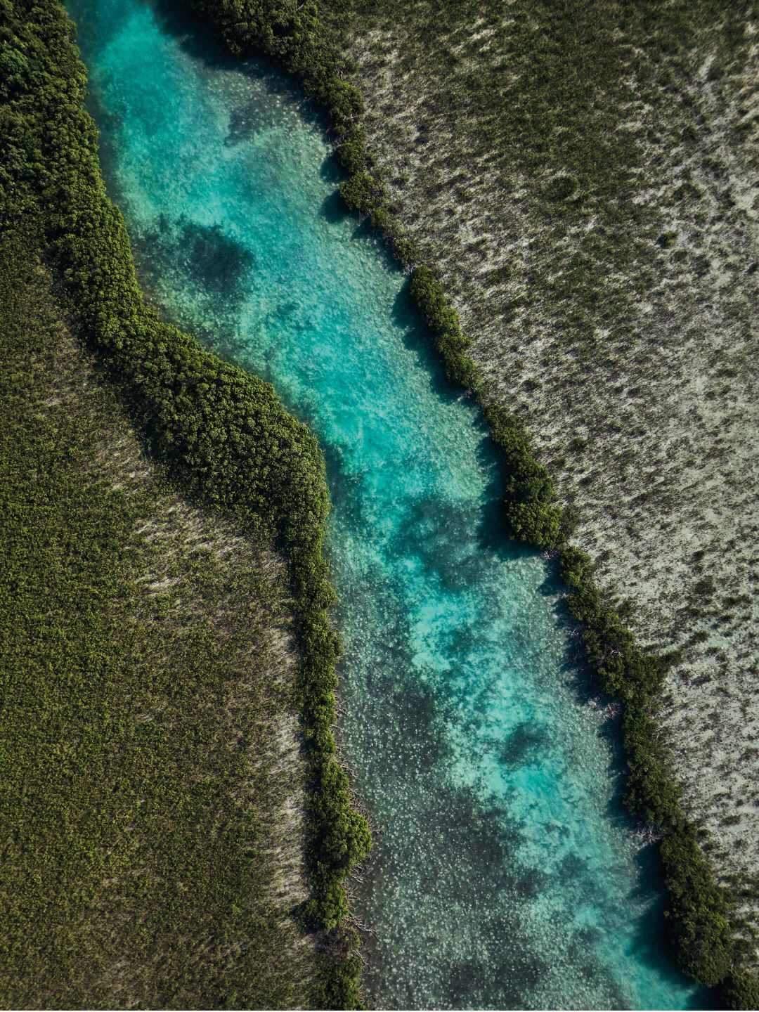 A Close-up Of A Beach