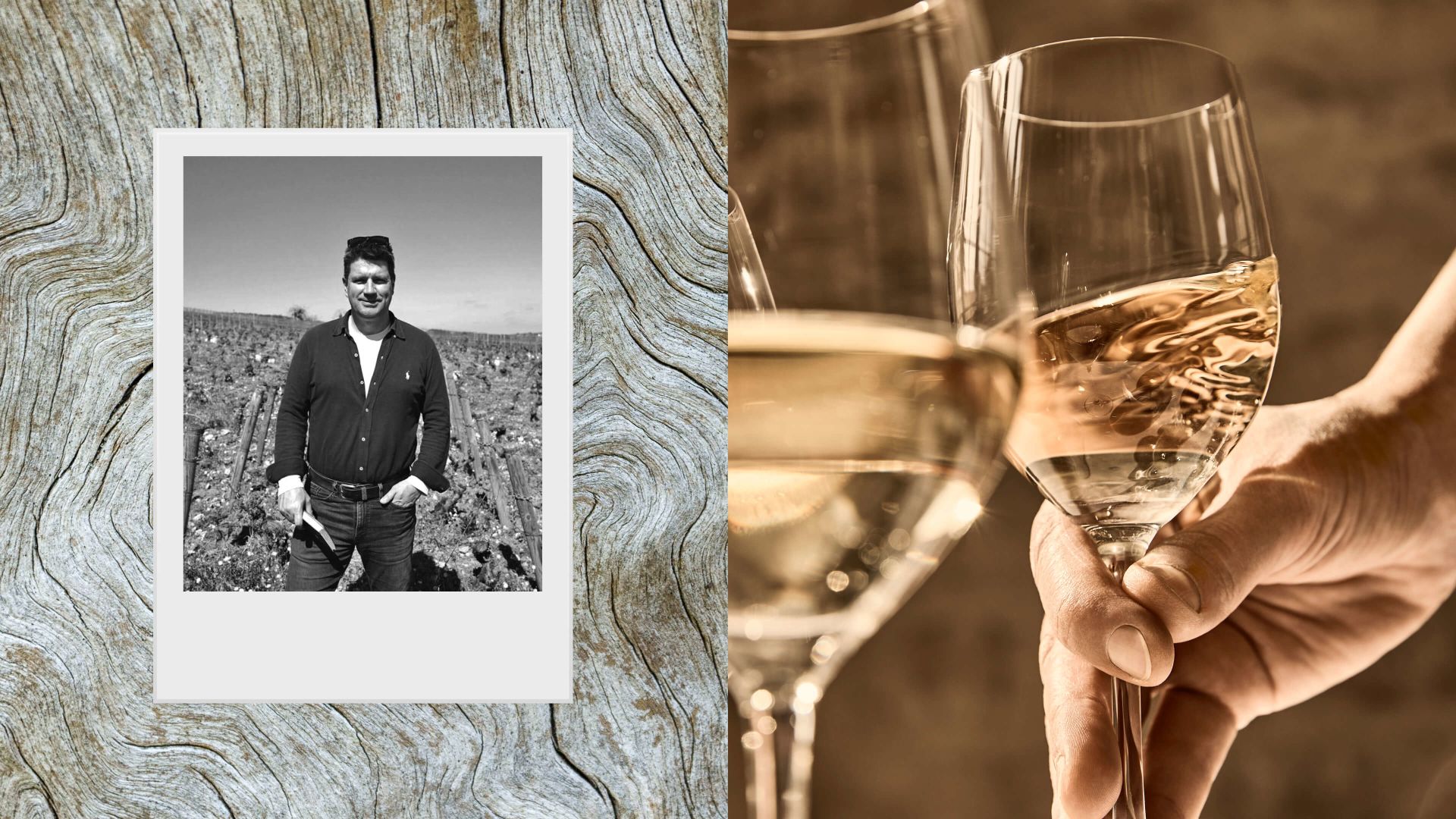 A Person Holding A Glass Of Wine