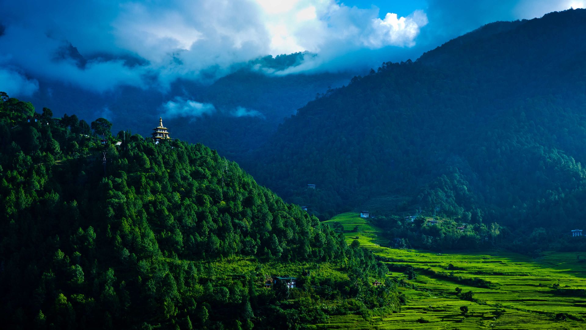 A Landscape With Trees And Mountains