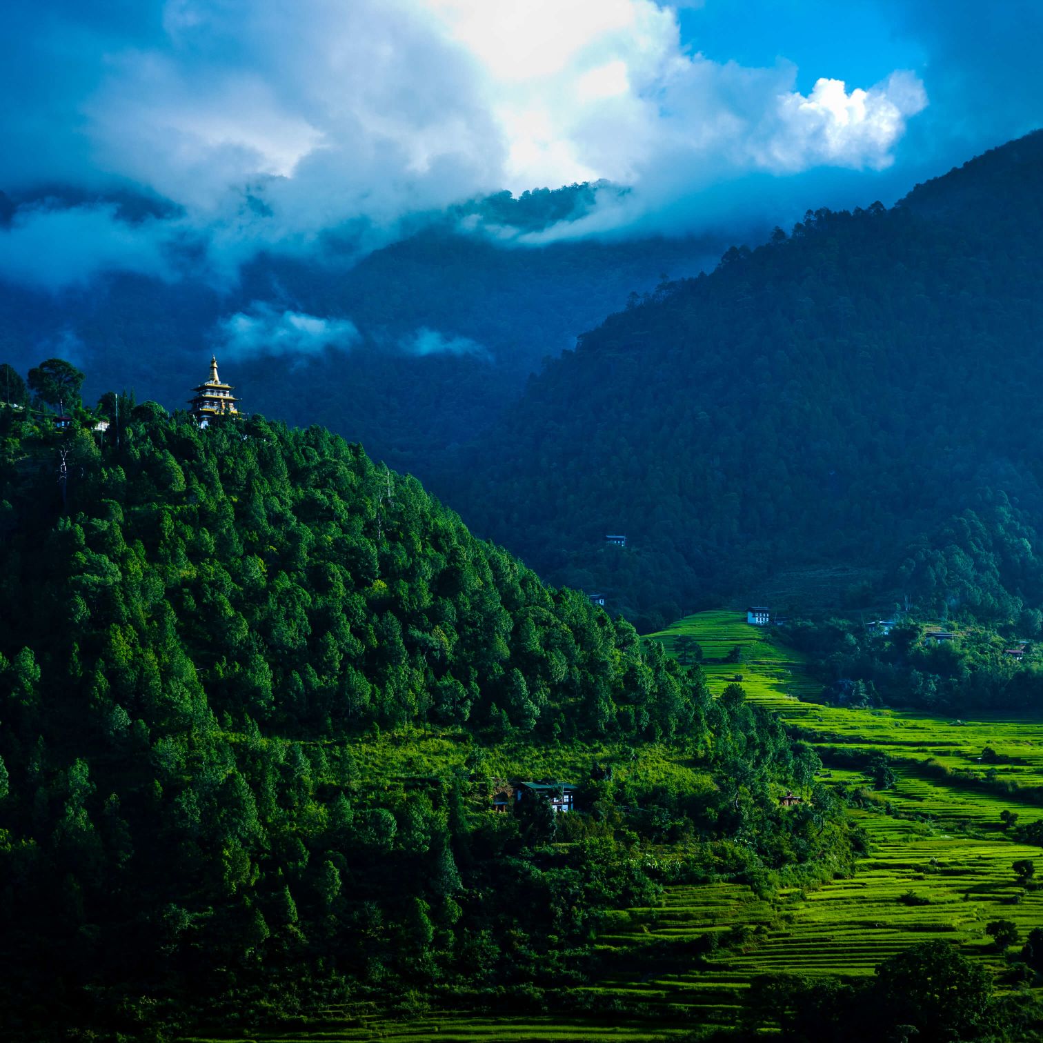 A Landscape With Trees And A Building In The Distance