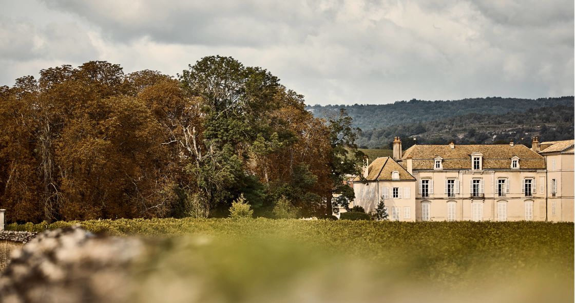A House With Trees In The Back