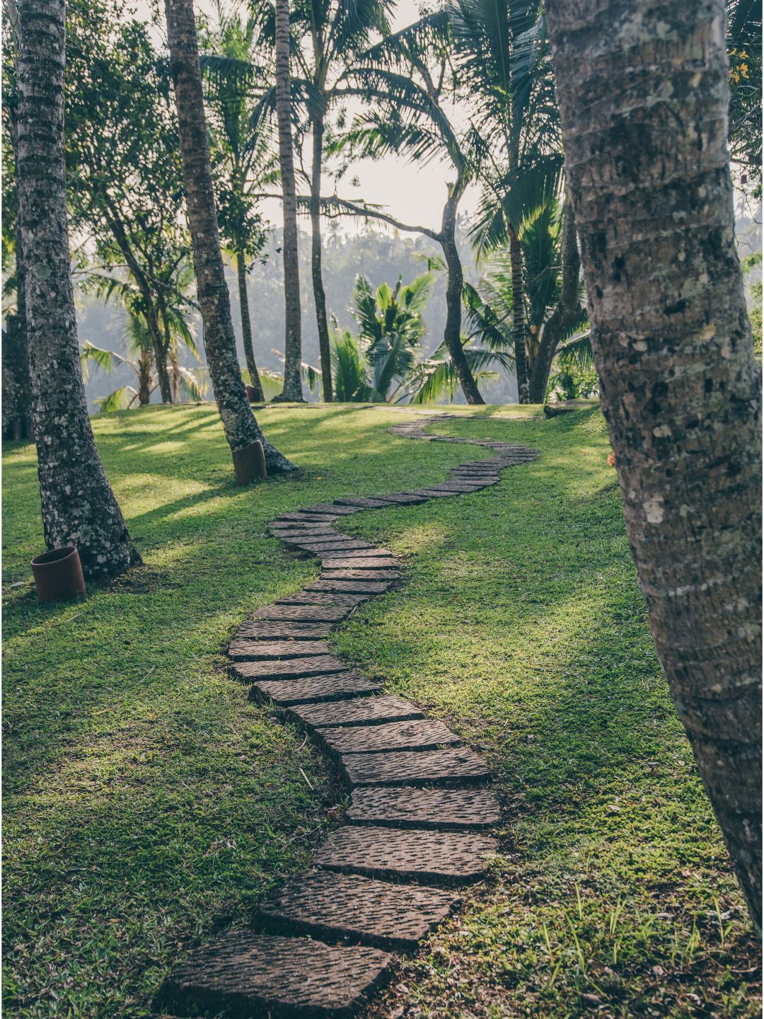 A Path Through A Grassy Area With Trees On Either Side Of It