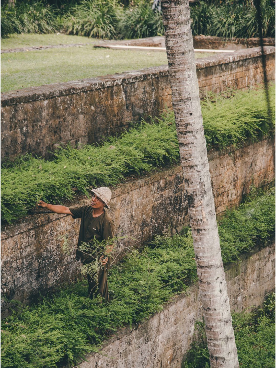 A Person Standing Next To A Tree