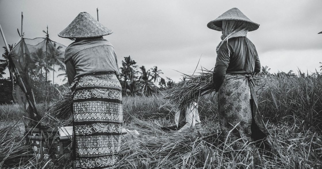 A Couple Of People In Hats In A Field