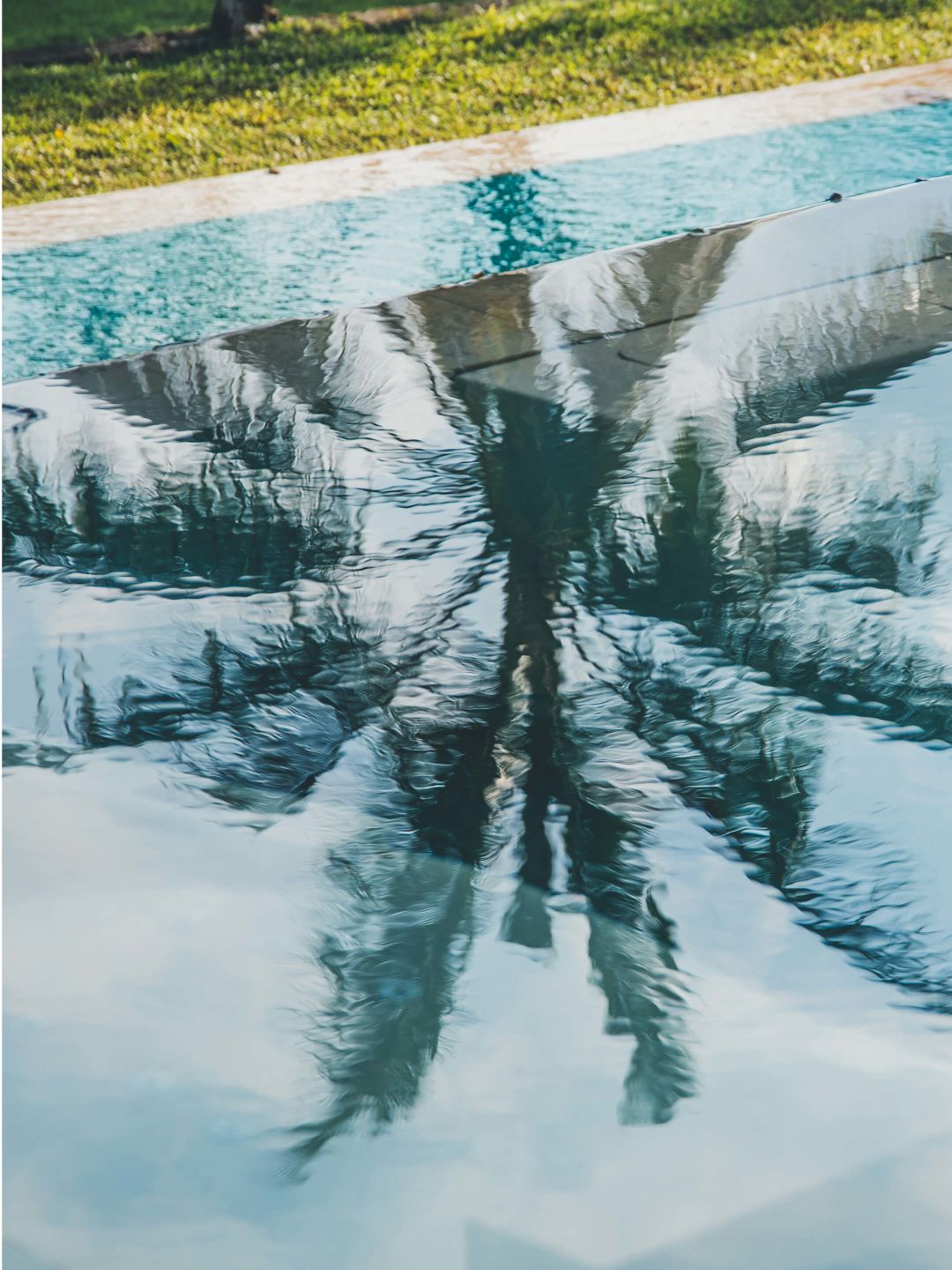 A Reflection Of A Tree In A Pool Of Water