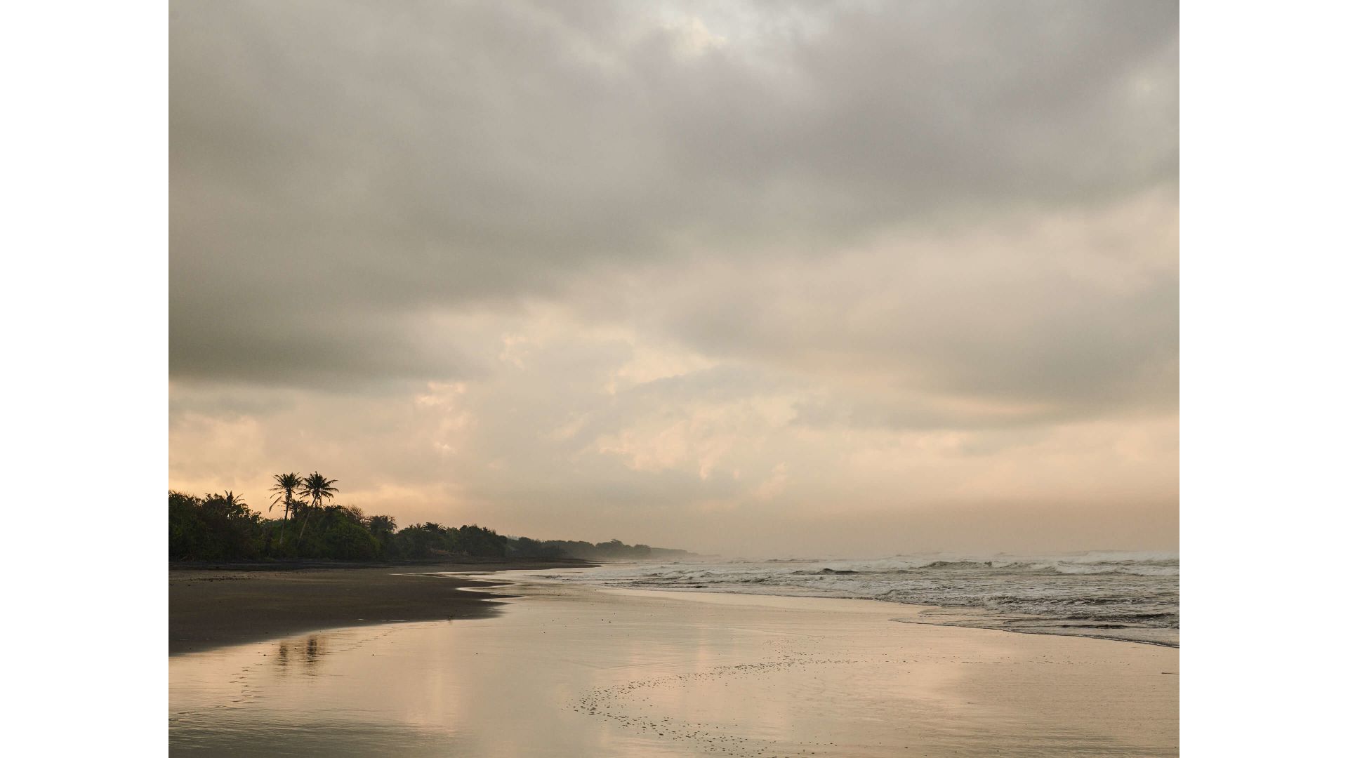 A Beach With Trees And Water