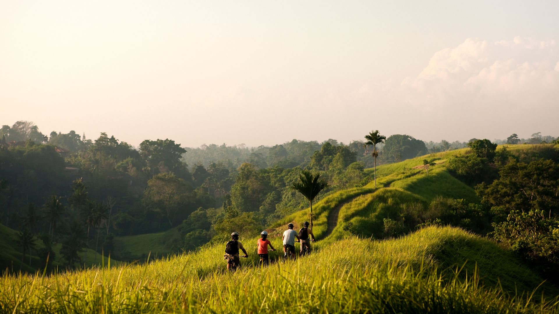 A Group Of People Walking On A Hill With Trees And Grass