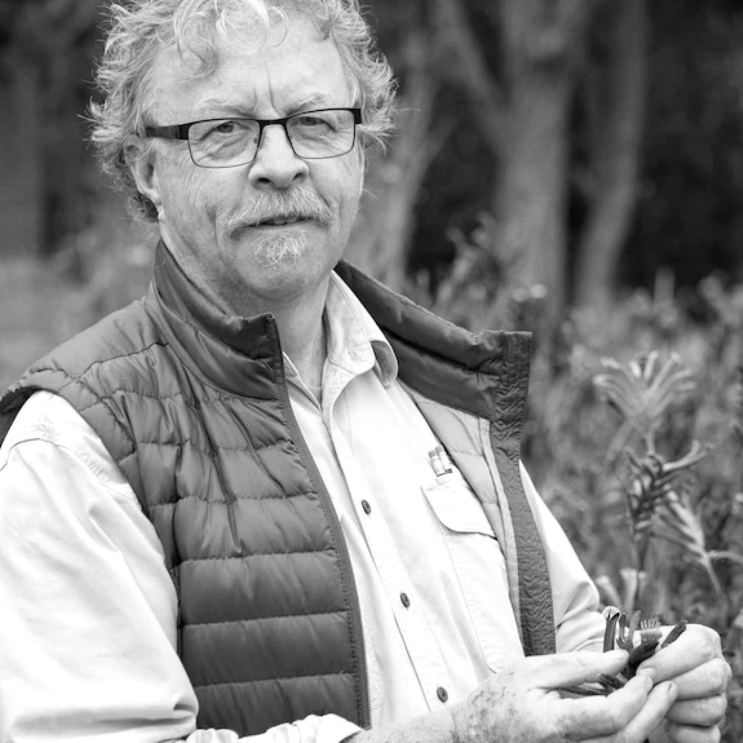 A Man Wearing Glasses