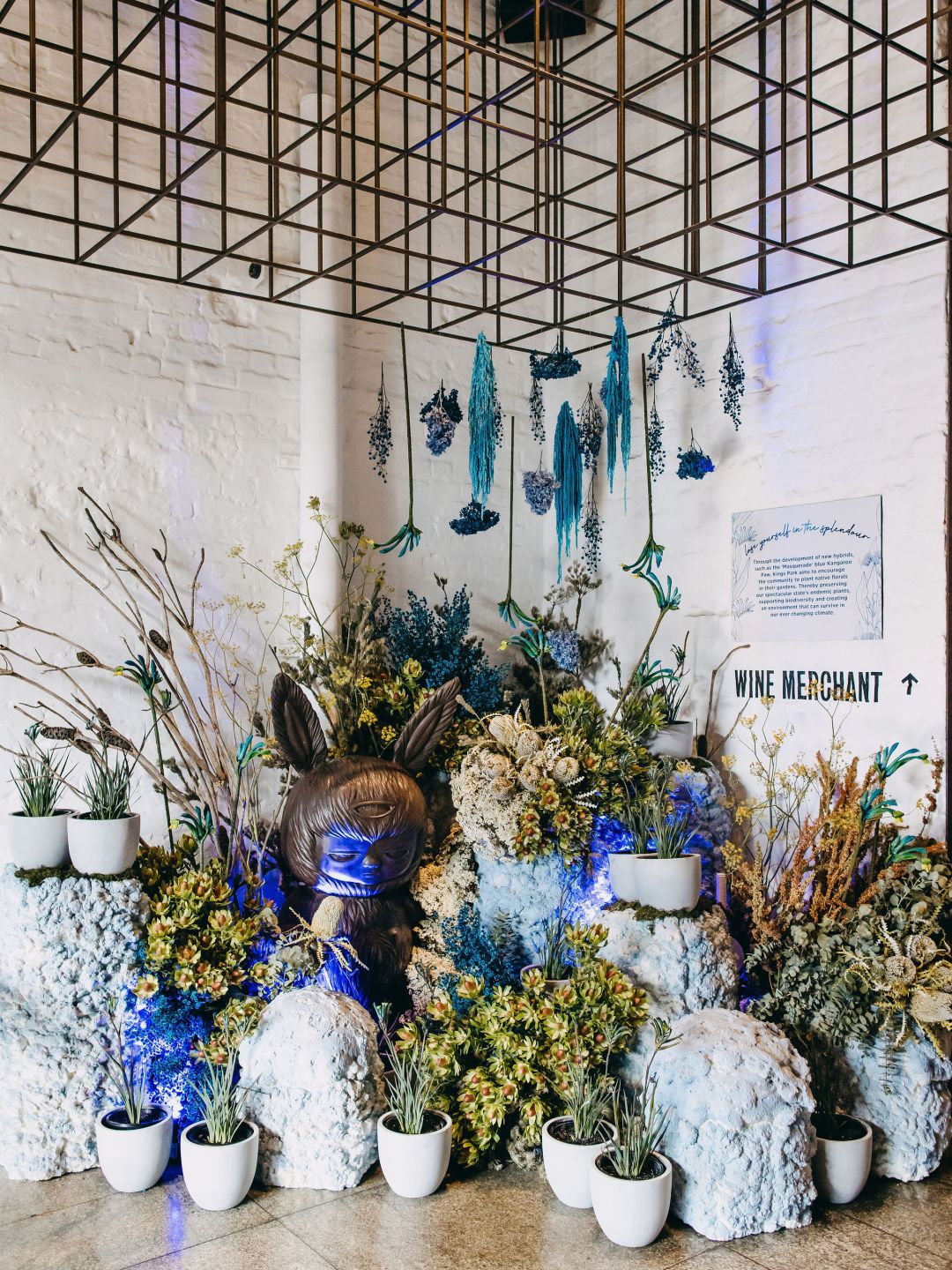 A Group Of Potted Plants