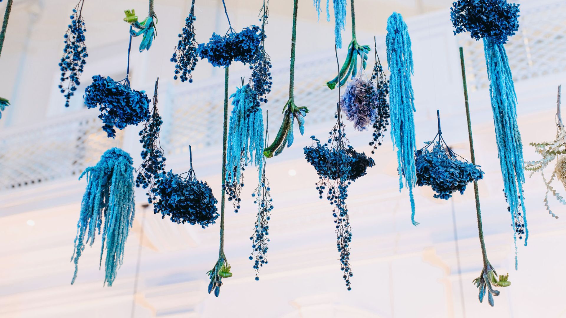 A Group Of Blue Flowers