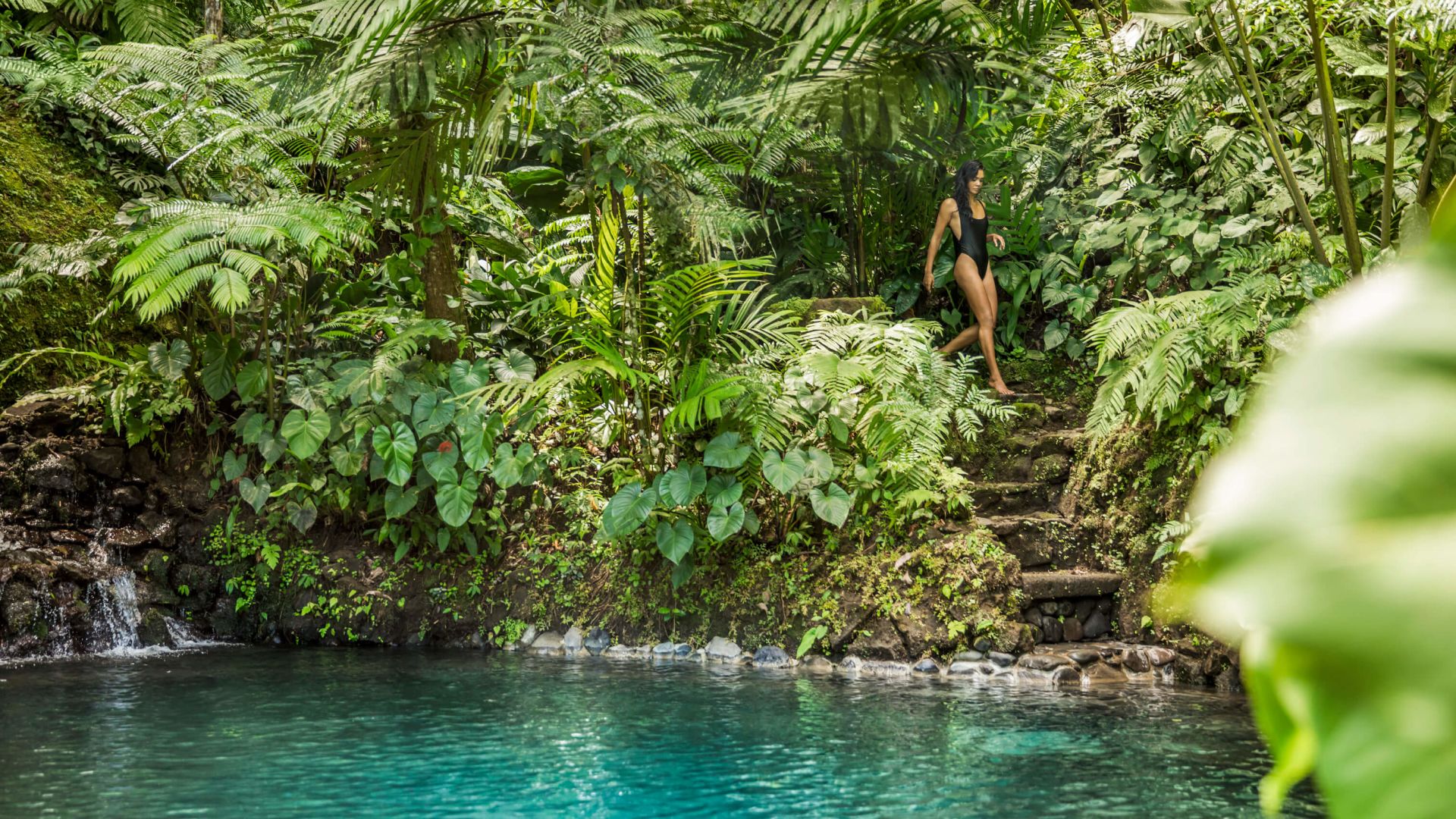 A Person Standing On A Rock In A Tropical Area