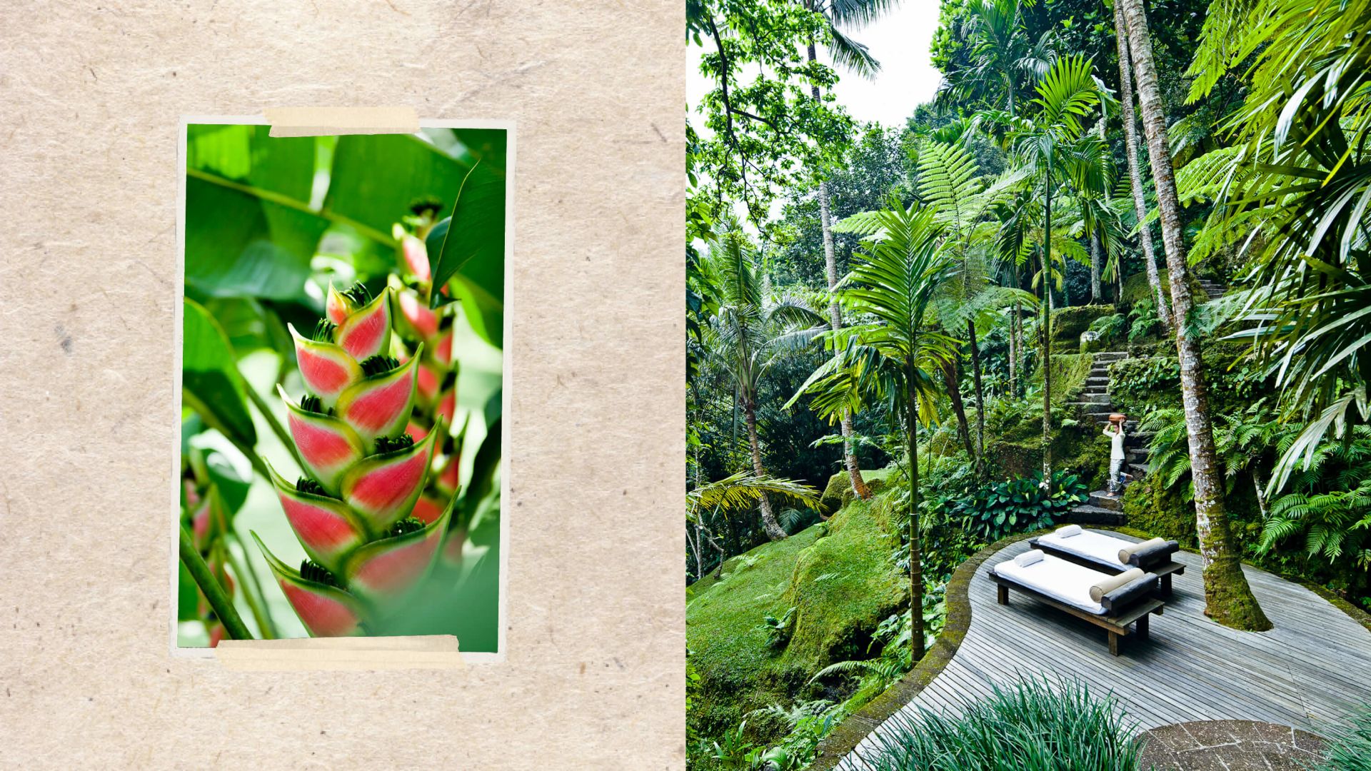 A Collage Of A Garden