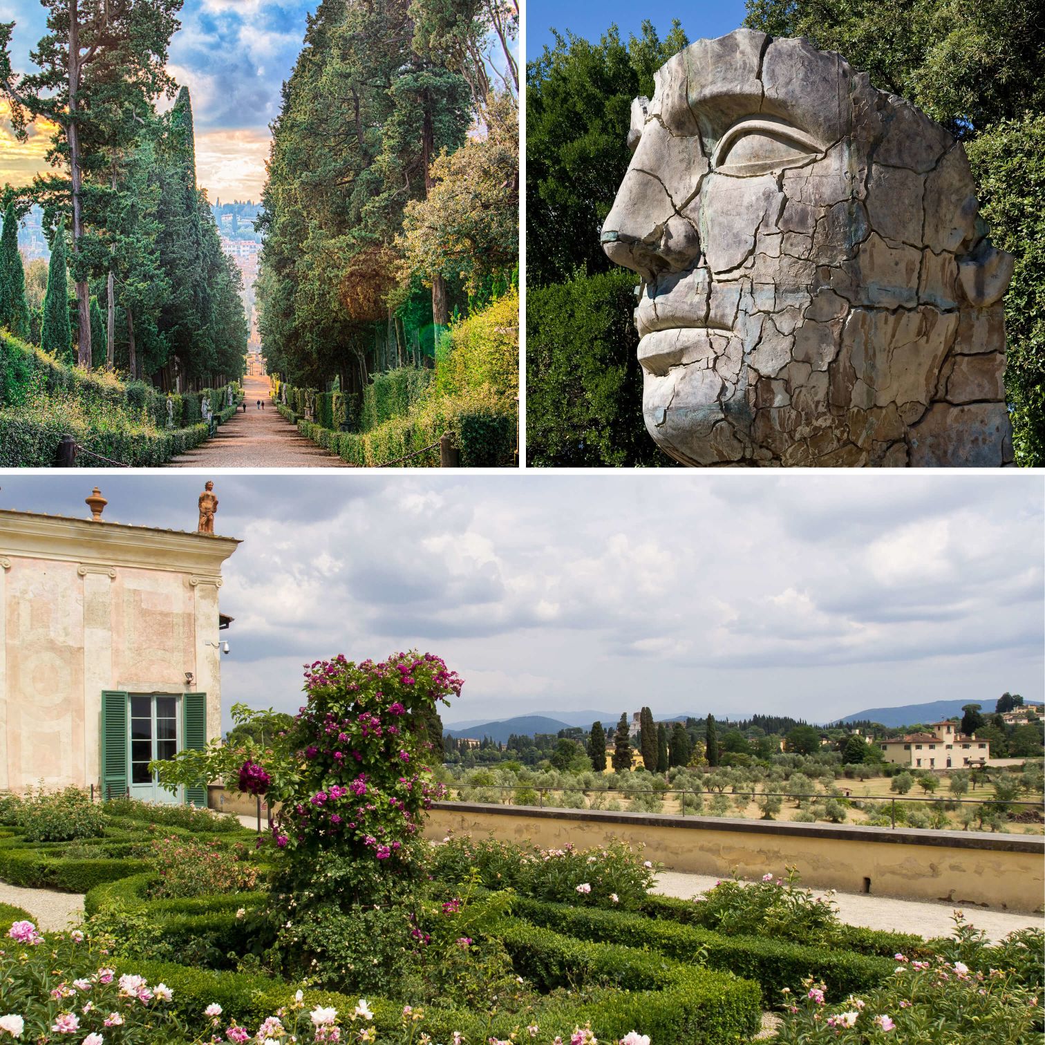 A Collage Of Photos Of A Landscape With A Rock And Trees