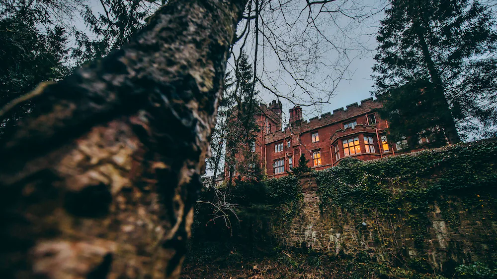 Hotel view from the forrest