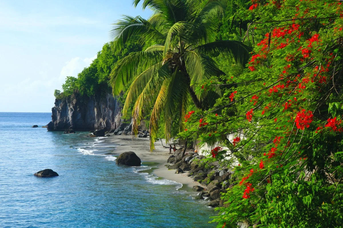 Belleville in Precheur, Martinique © shutterstock