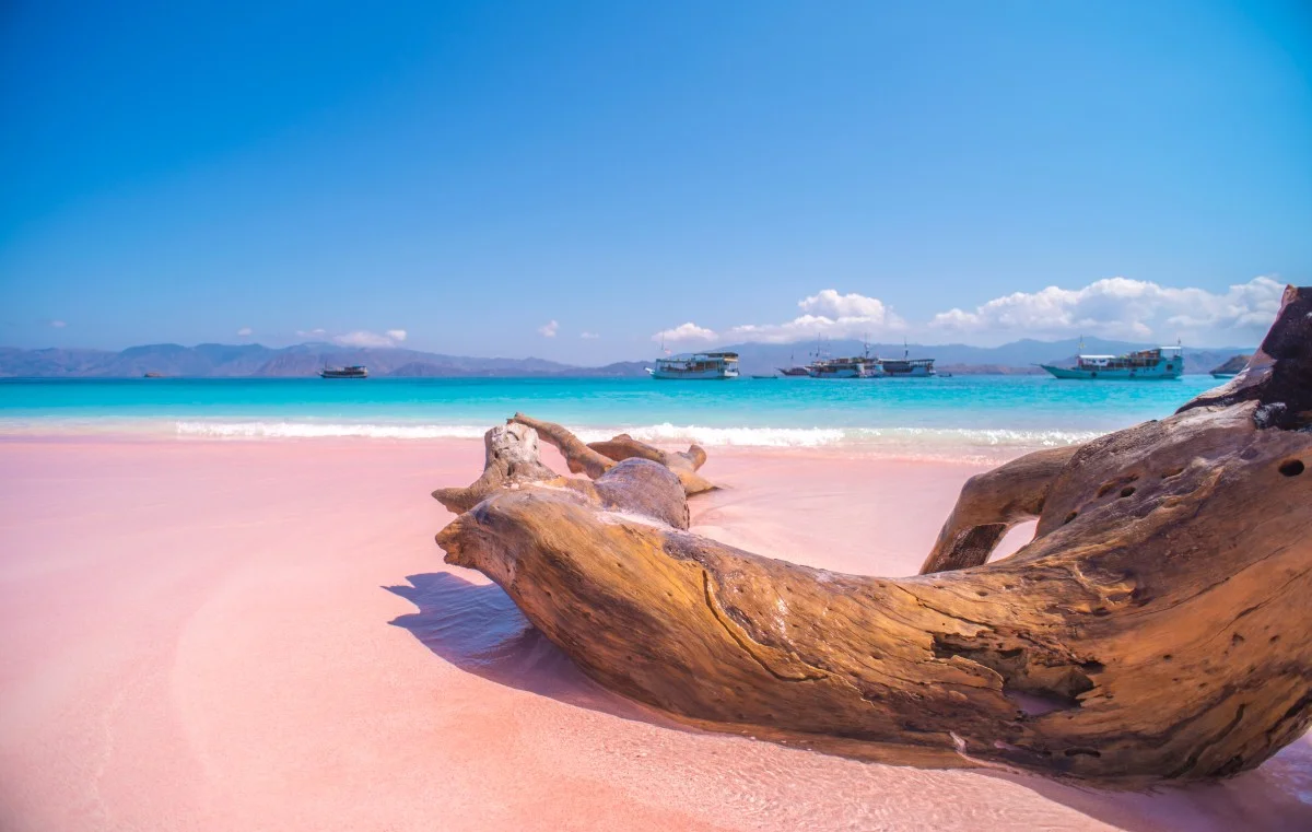 Komodo (Indonesia) © shutterstock