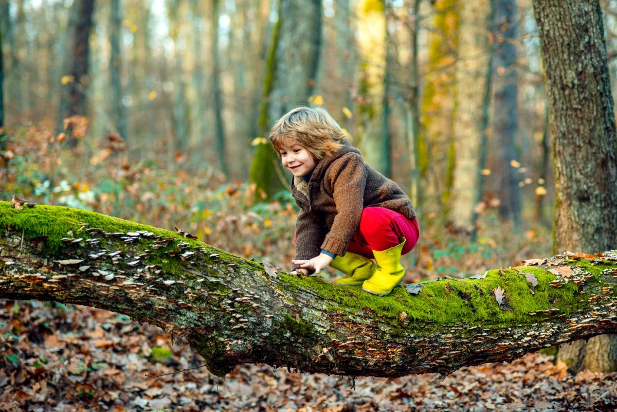 Kid in the forrest