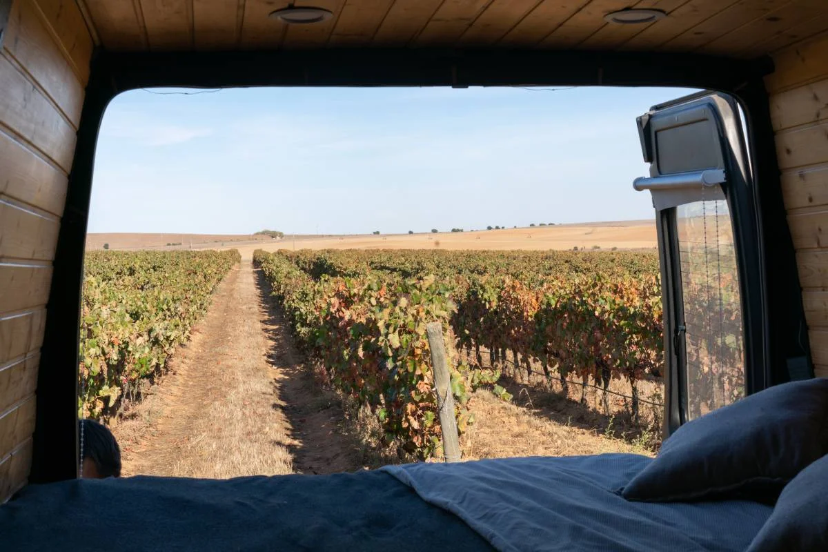 Sleeping in a camper with a view at vines © shutterstock