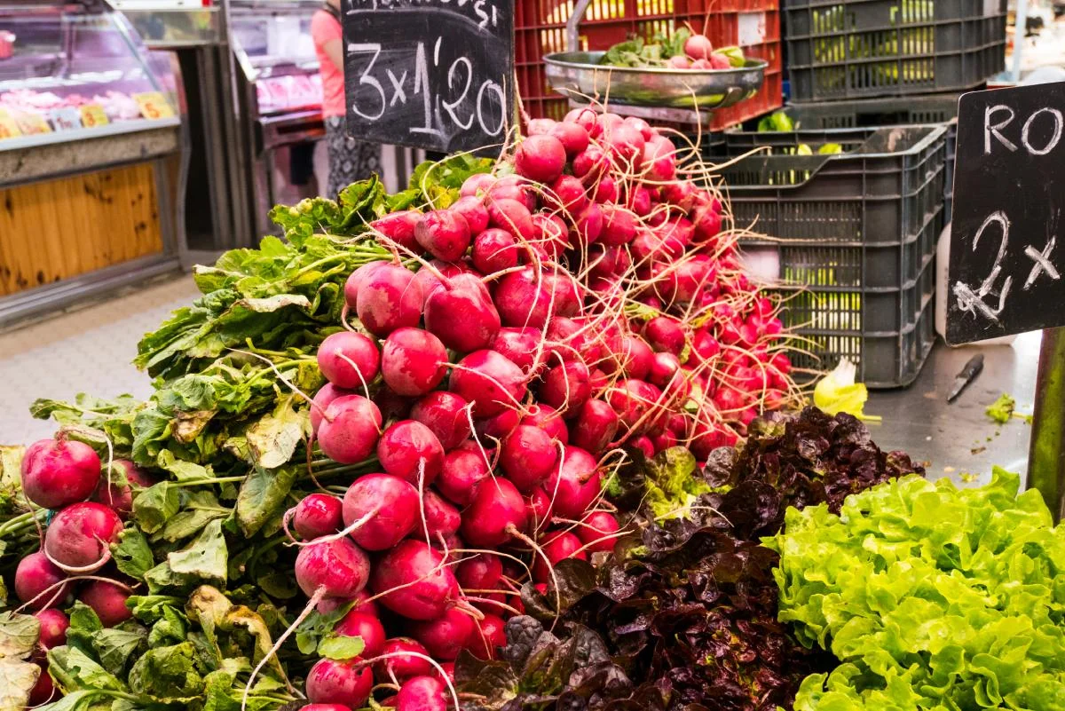 Radish