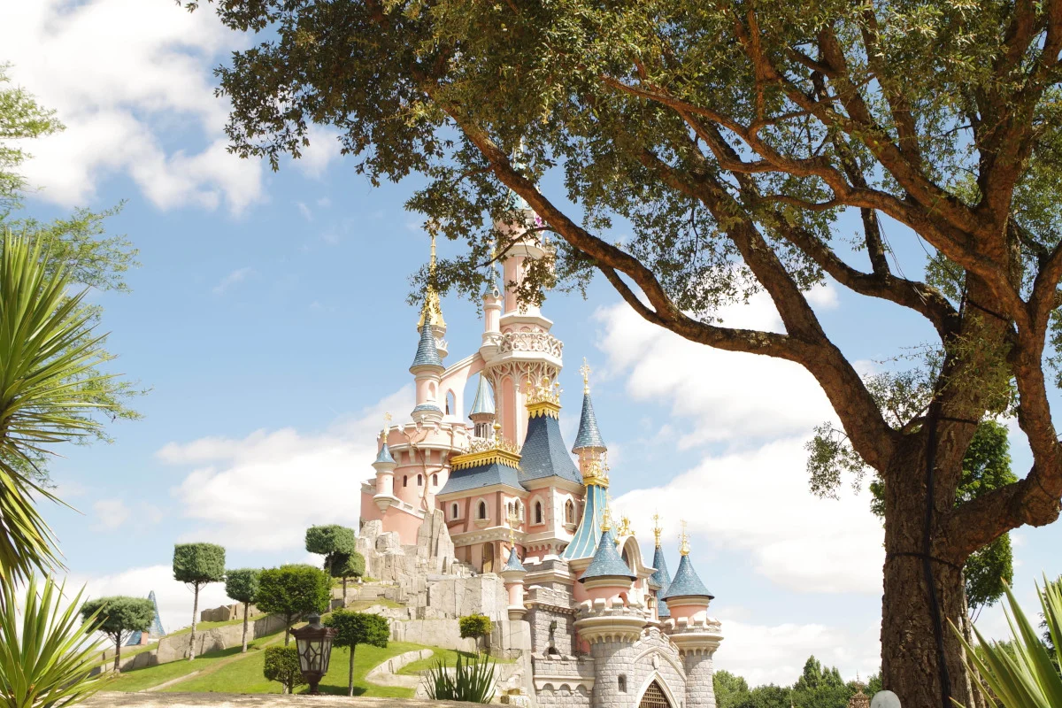 The picture shows a castle at Disneyland Paris. The castle has pink walls and blue roofs. You can also see a large tree and shrubs on the lawn. It is sunny weather with blue skies and white clouds.